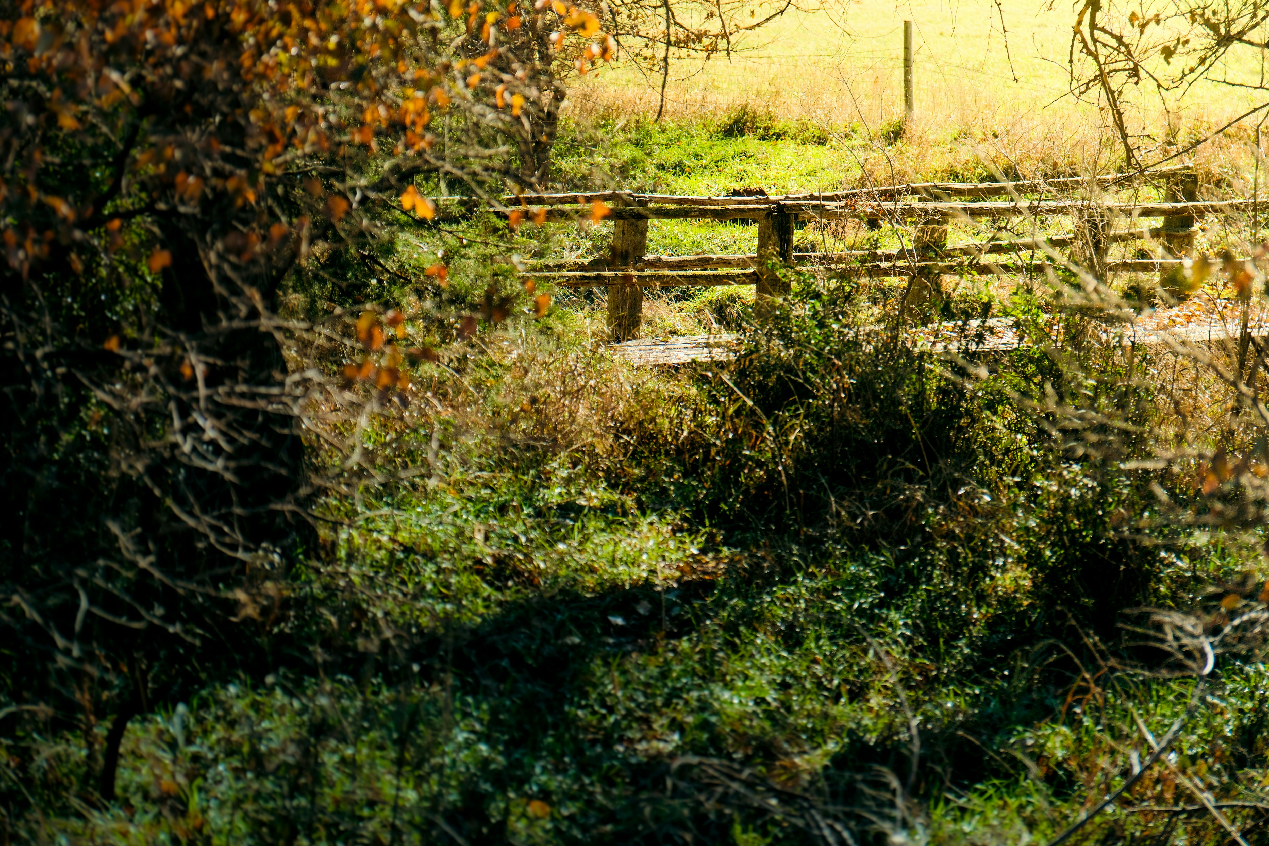 Photo by consoledotlog