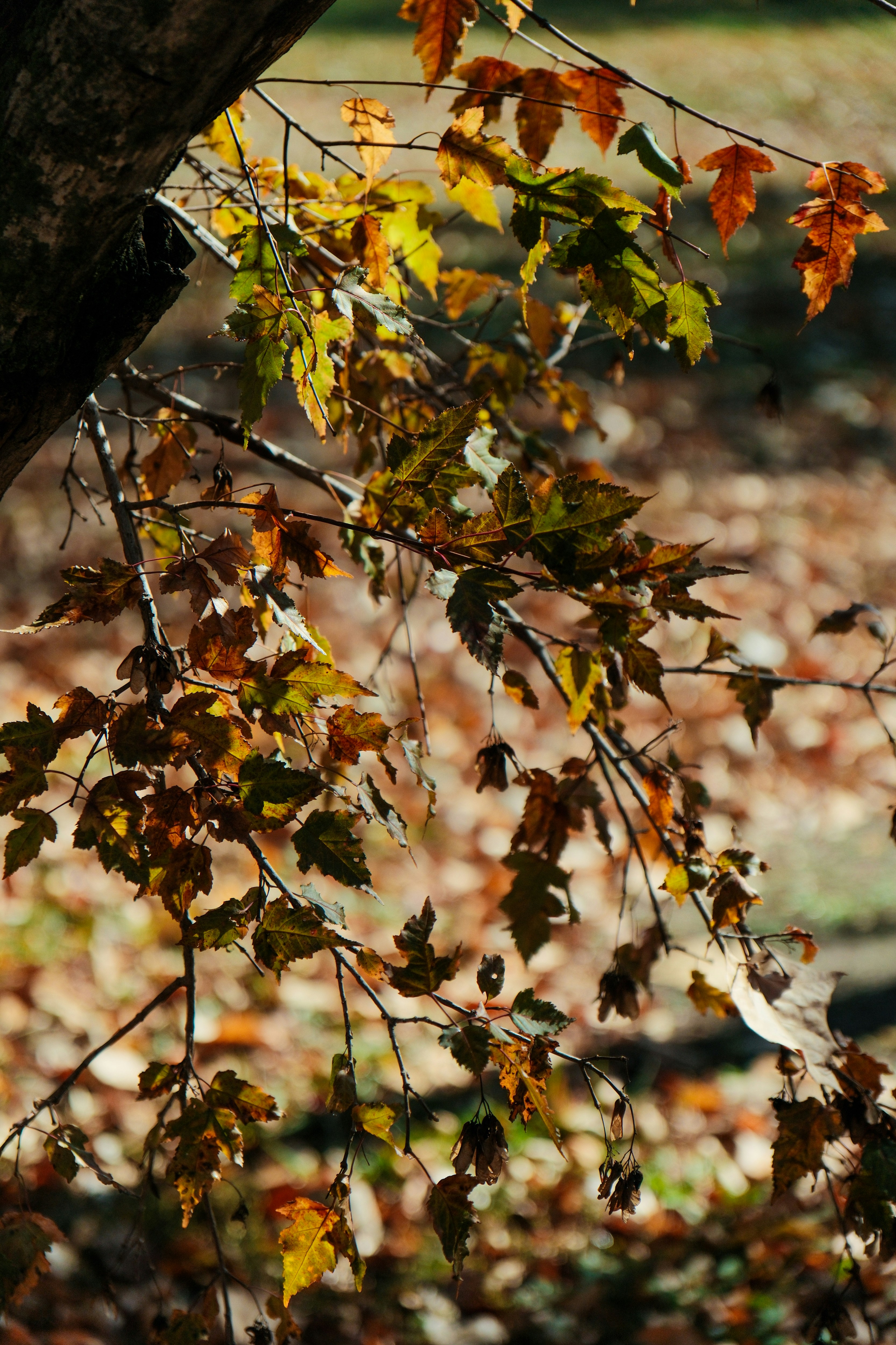 Photo by consoledotlog