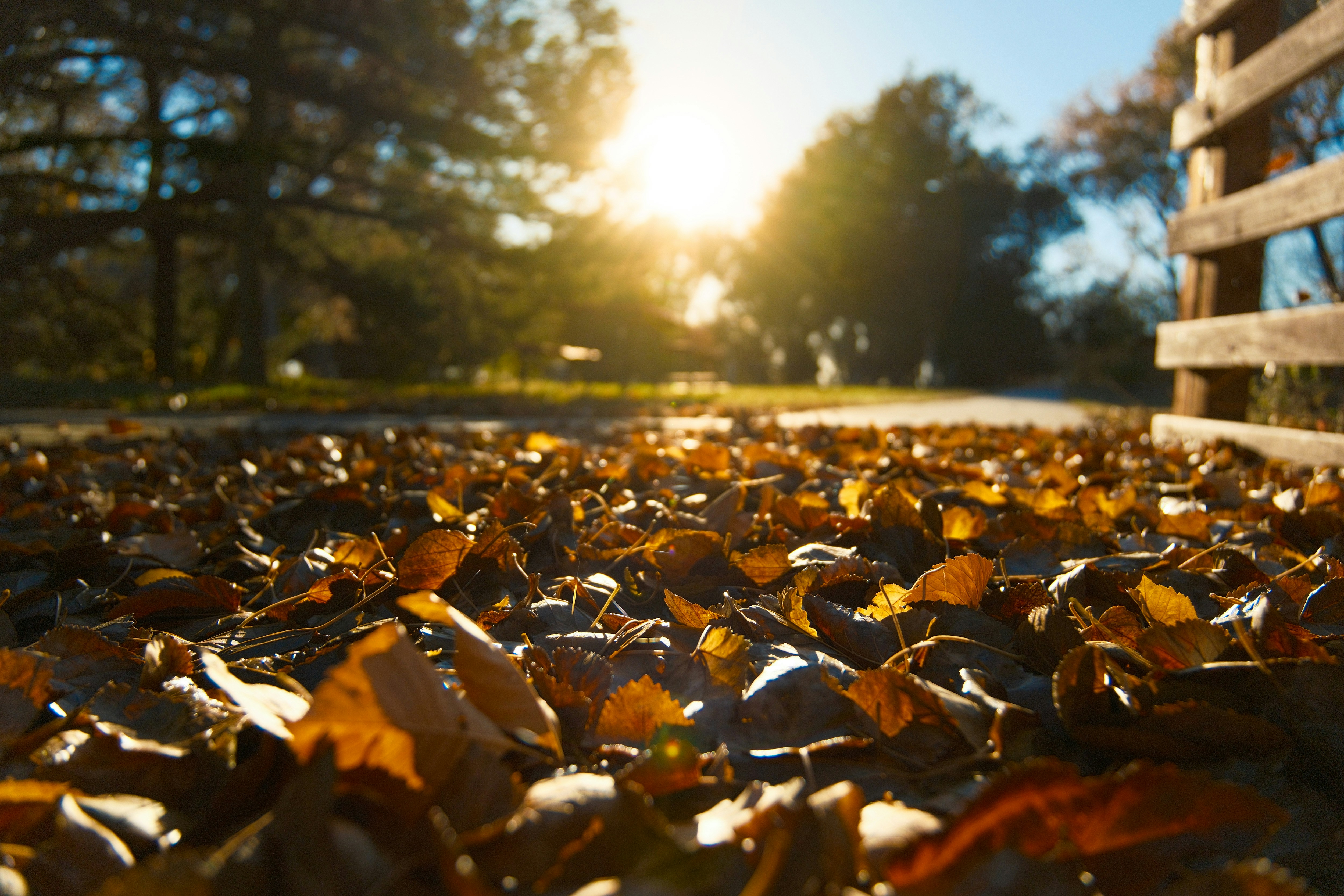 Photo by consoledotlog