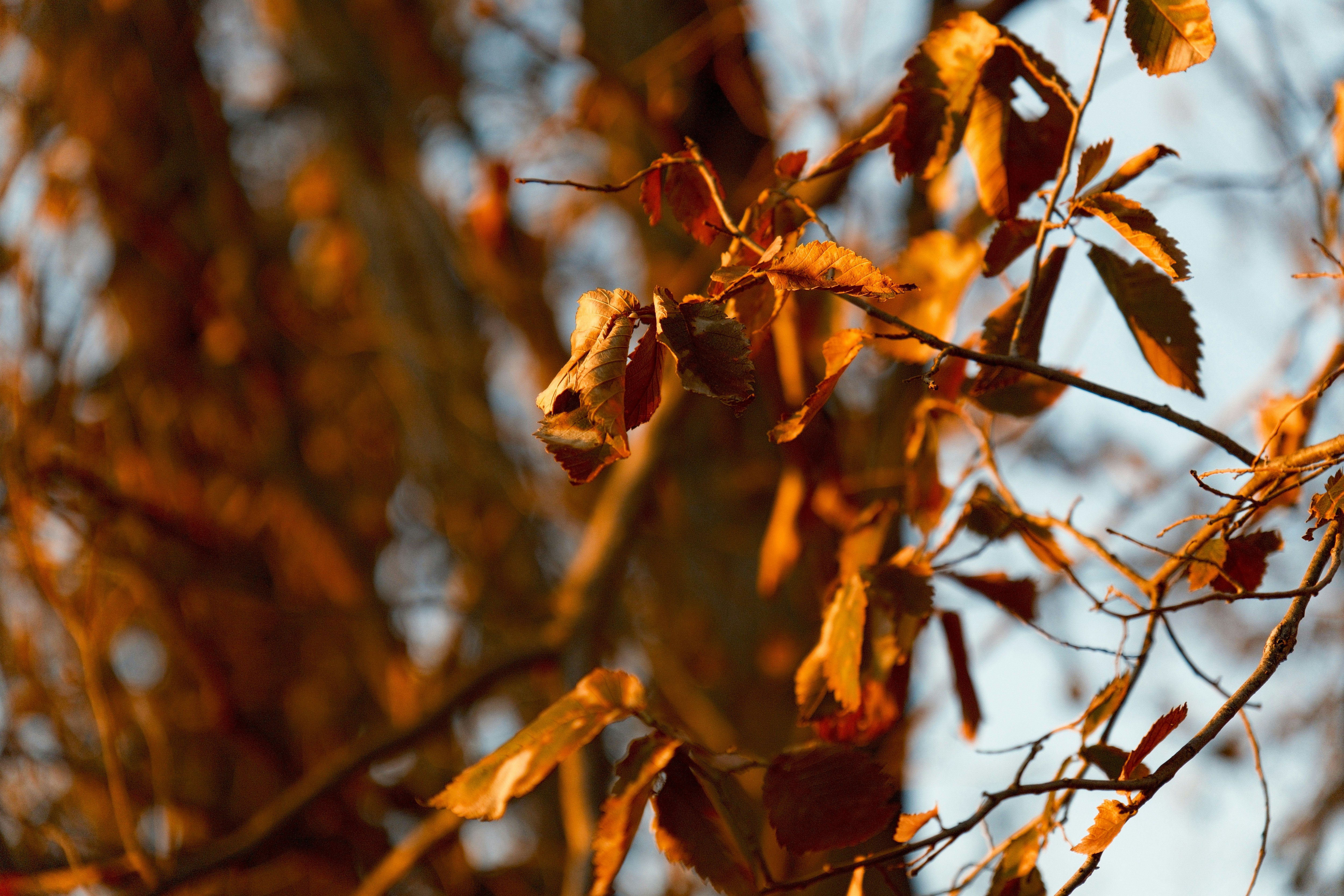 Photo by consoledotlog