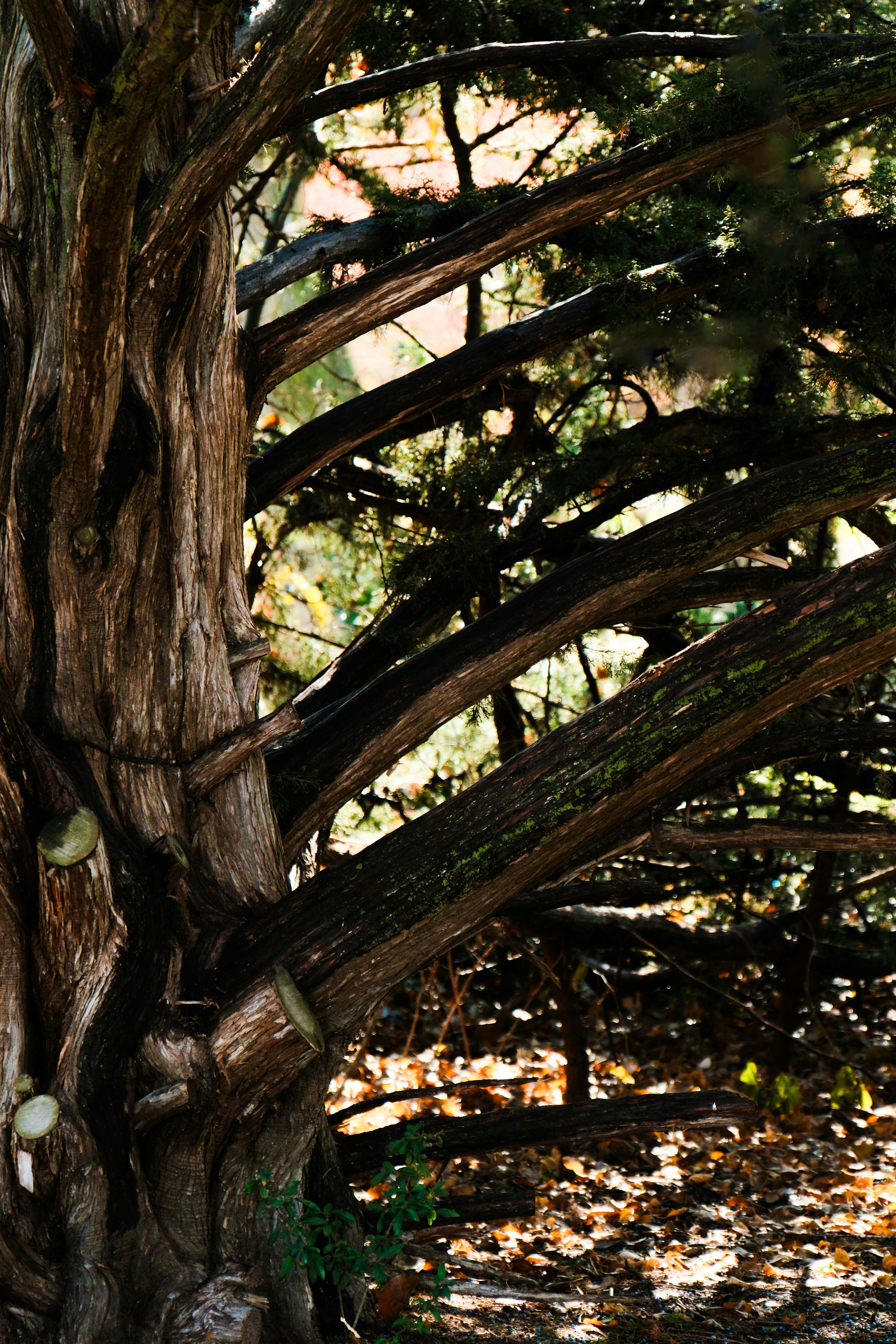 Photo by consoledotlog