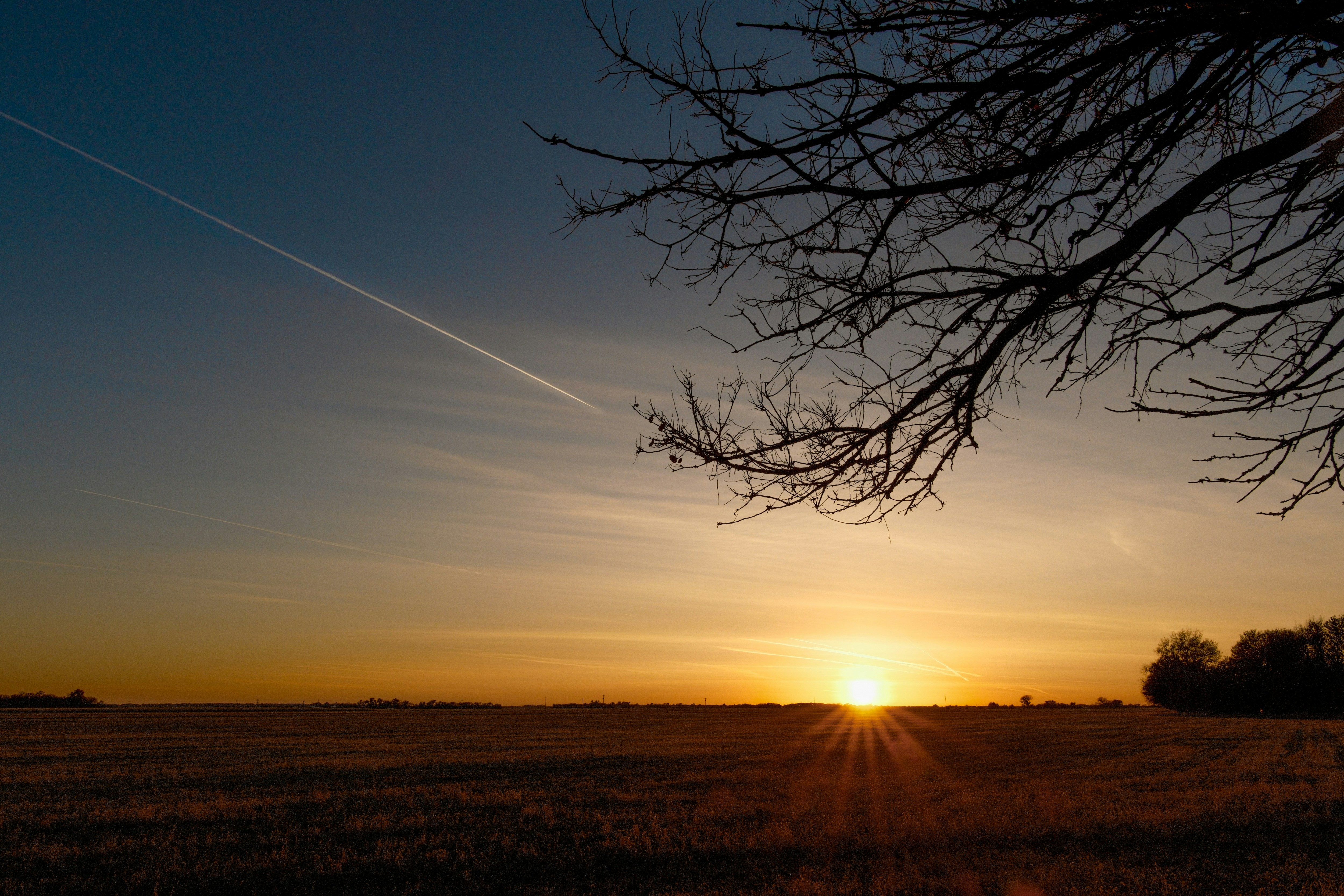 Photo by consoledotlog