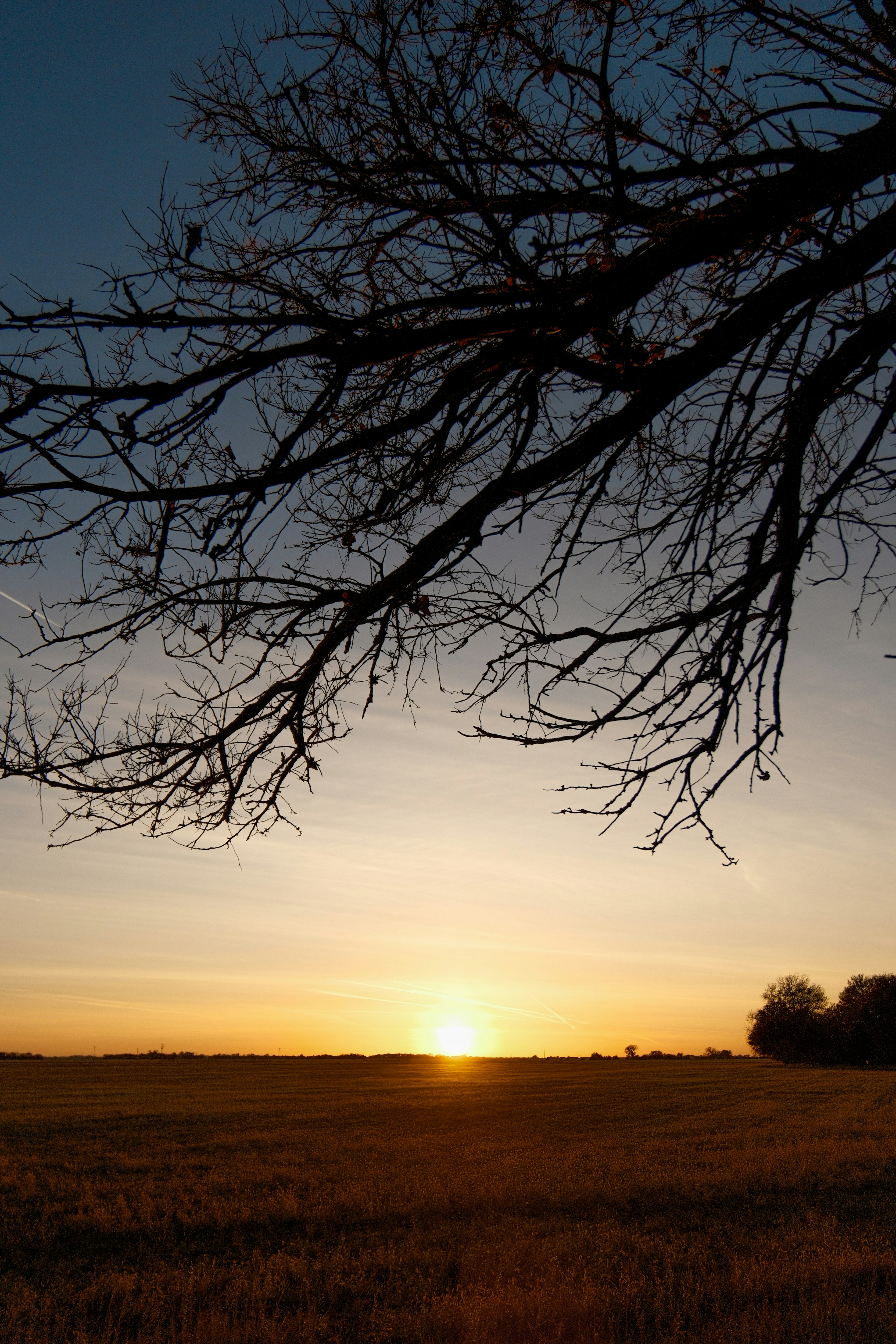 Photo by consoledotlog