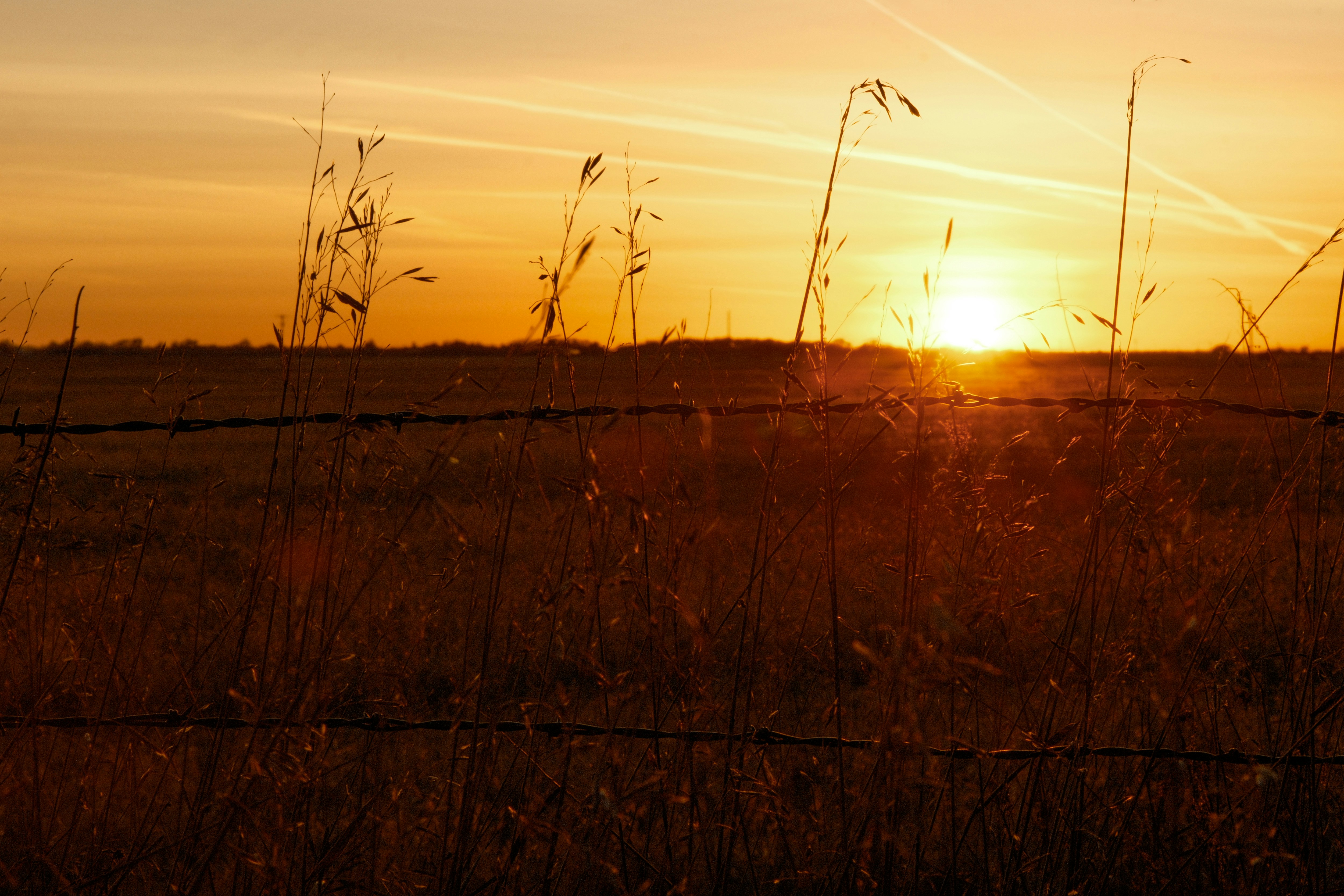 Photo by consoledotlog