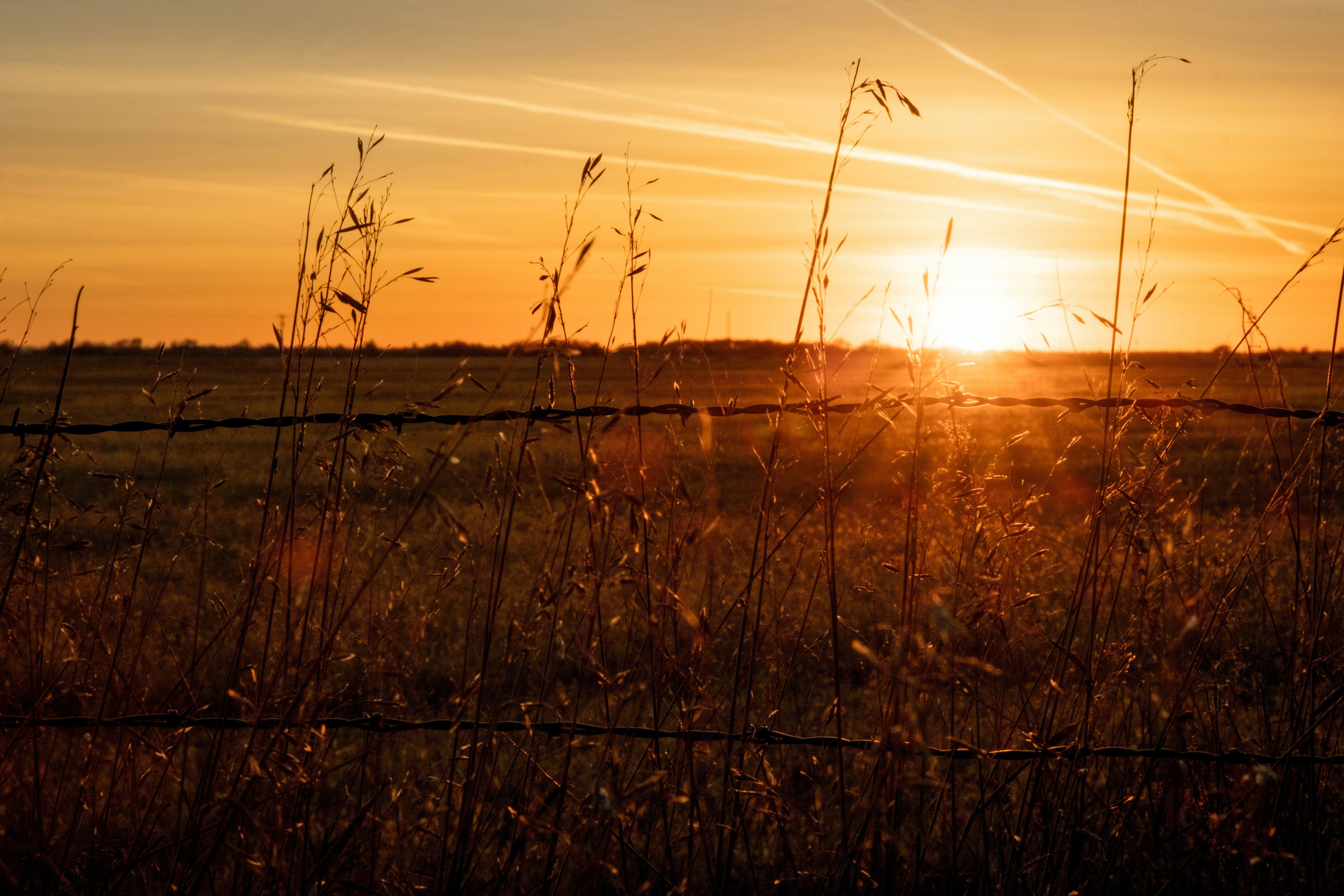 Photo by consoledotlog