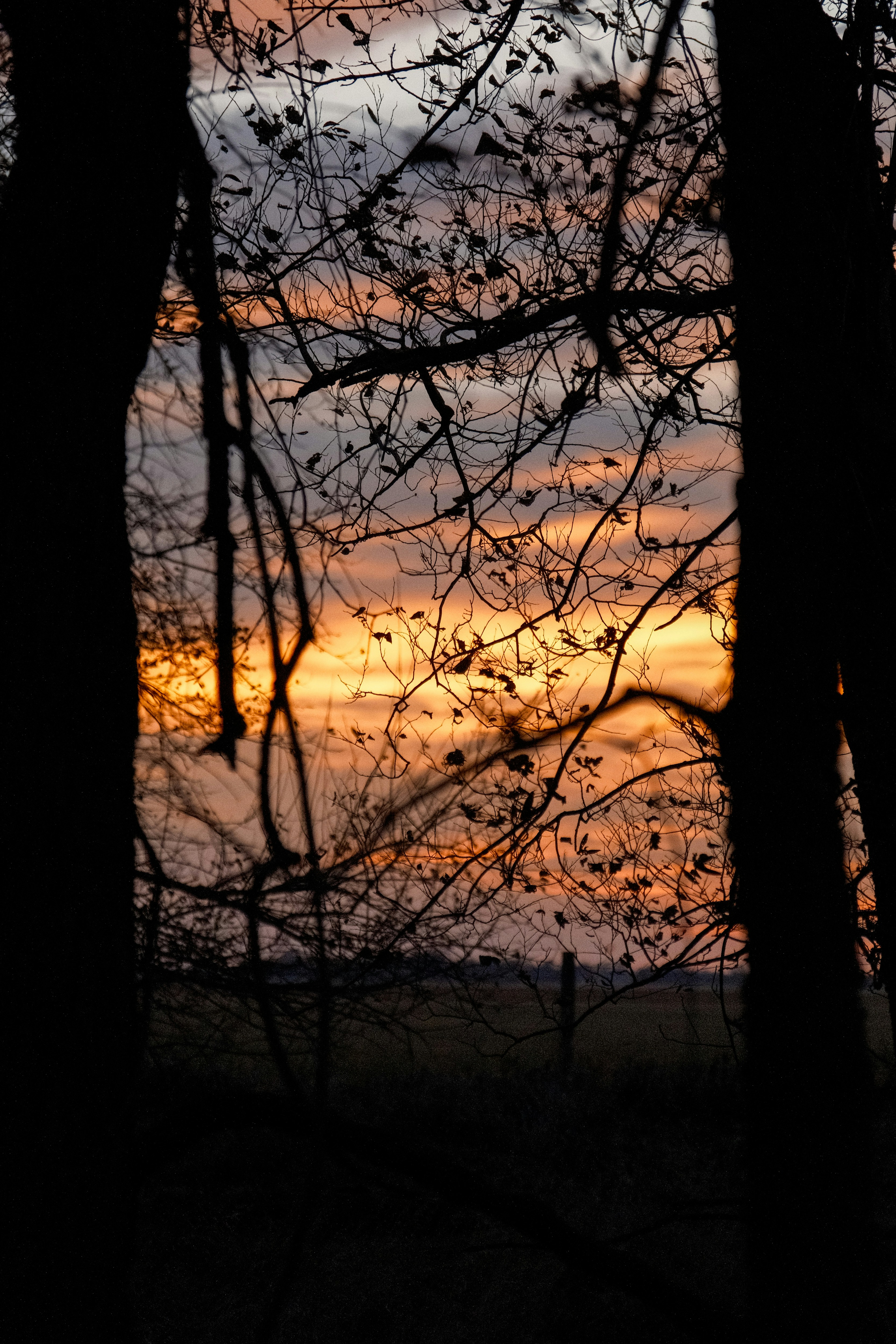 Photo by consoledotlog