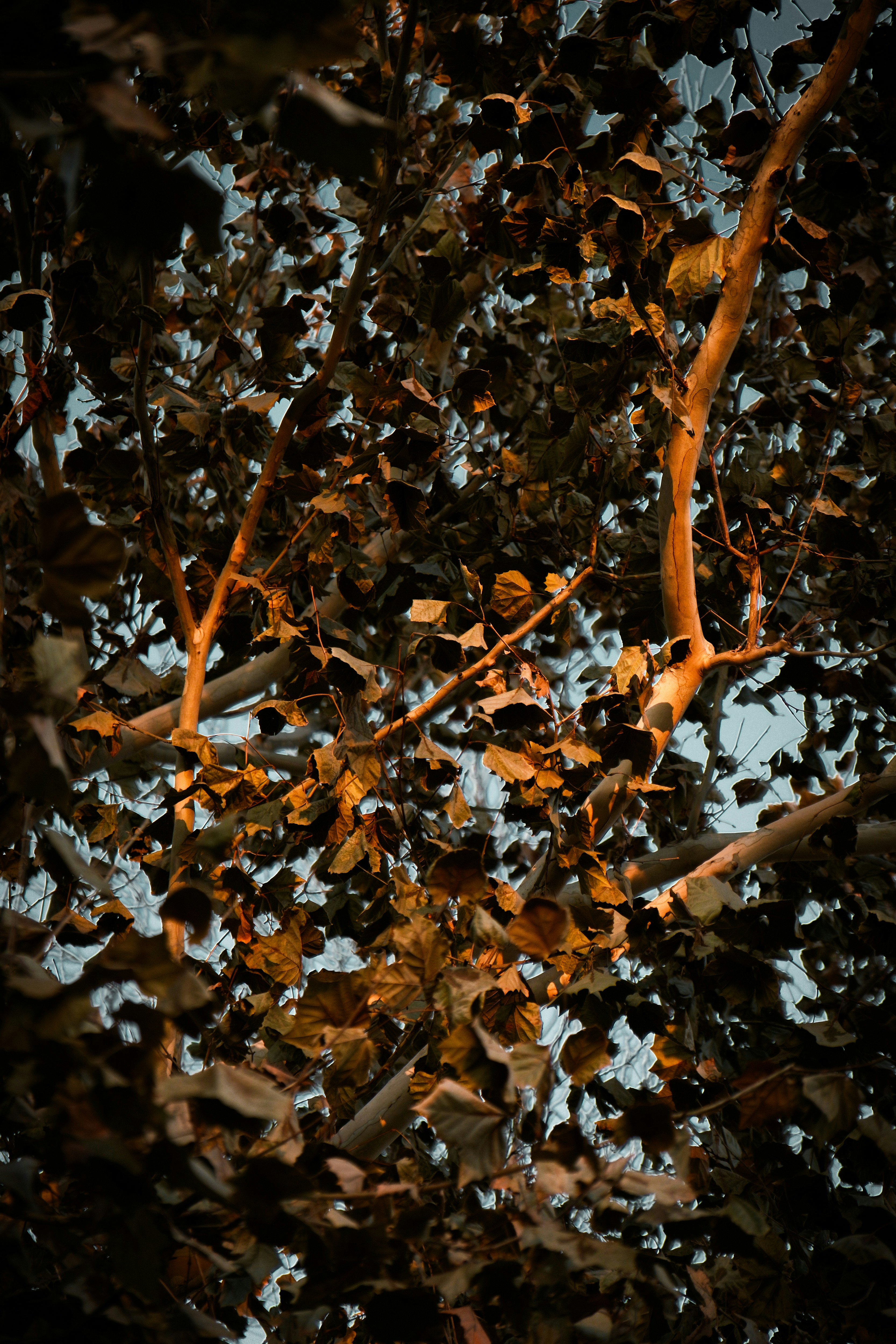 Photo by consoledotlog