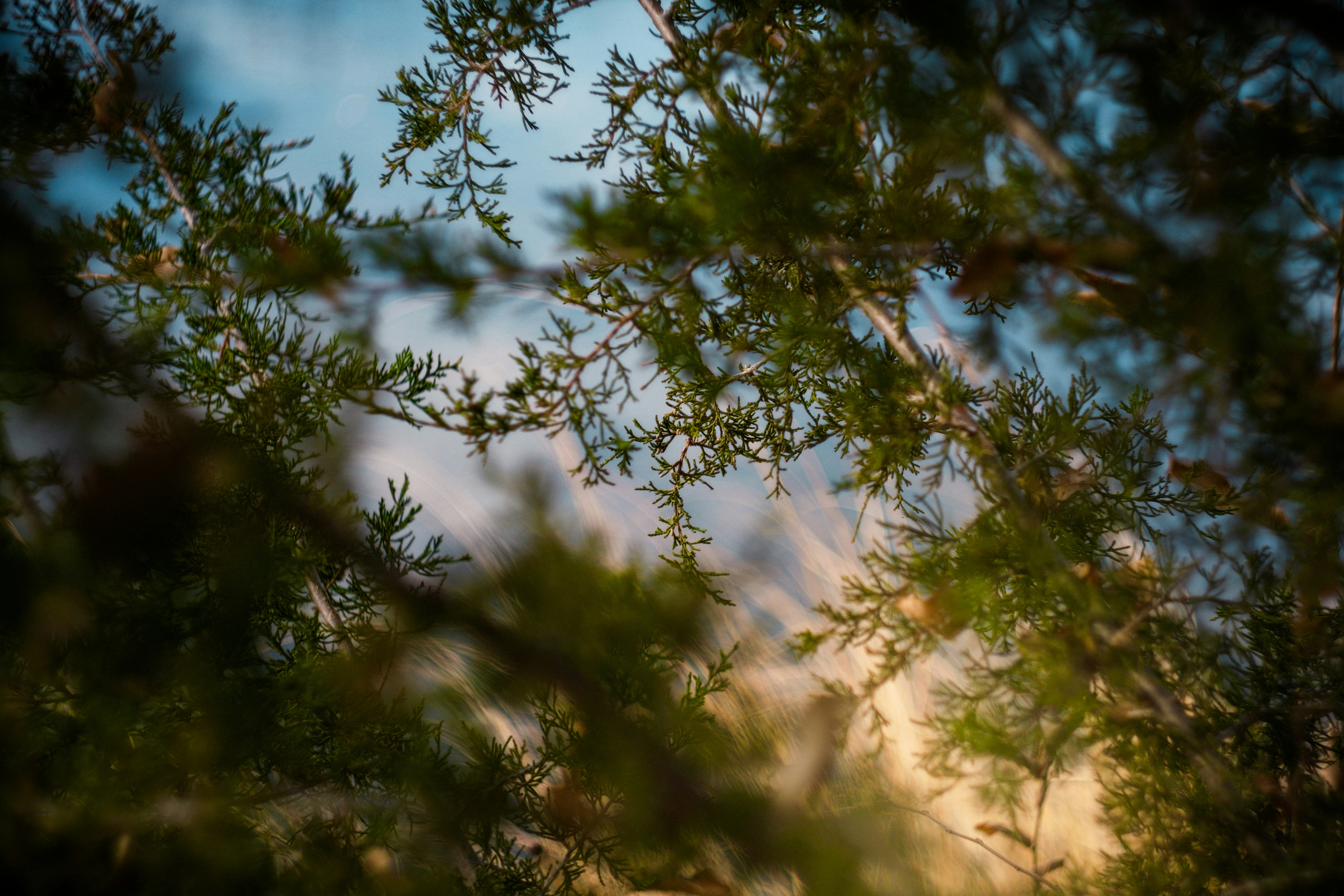 Photo by consoledotlog