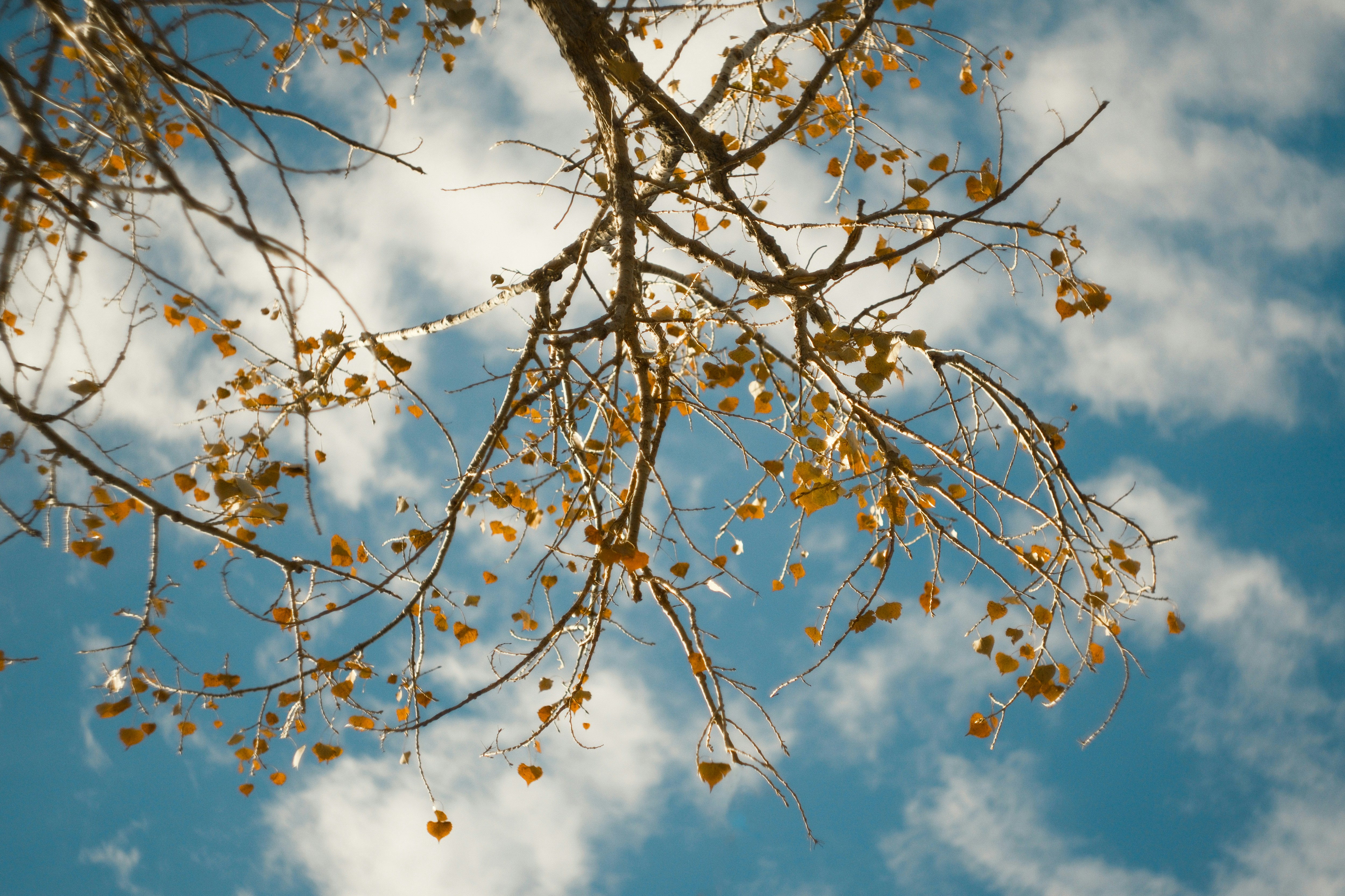 Photo by consoledotlog