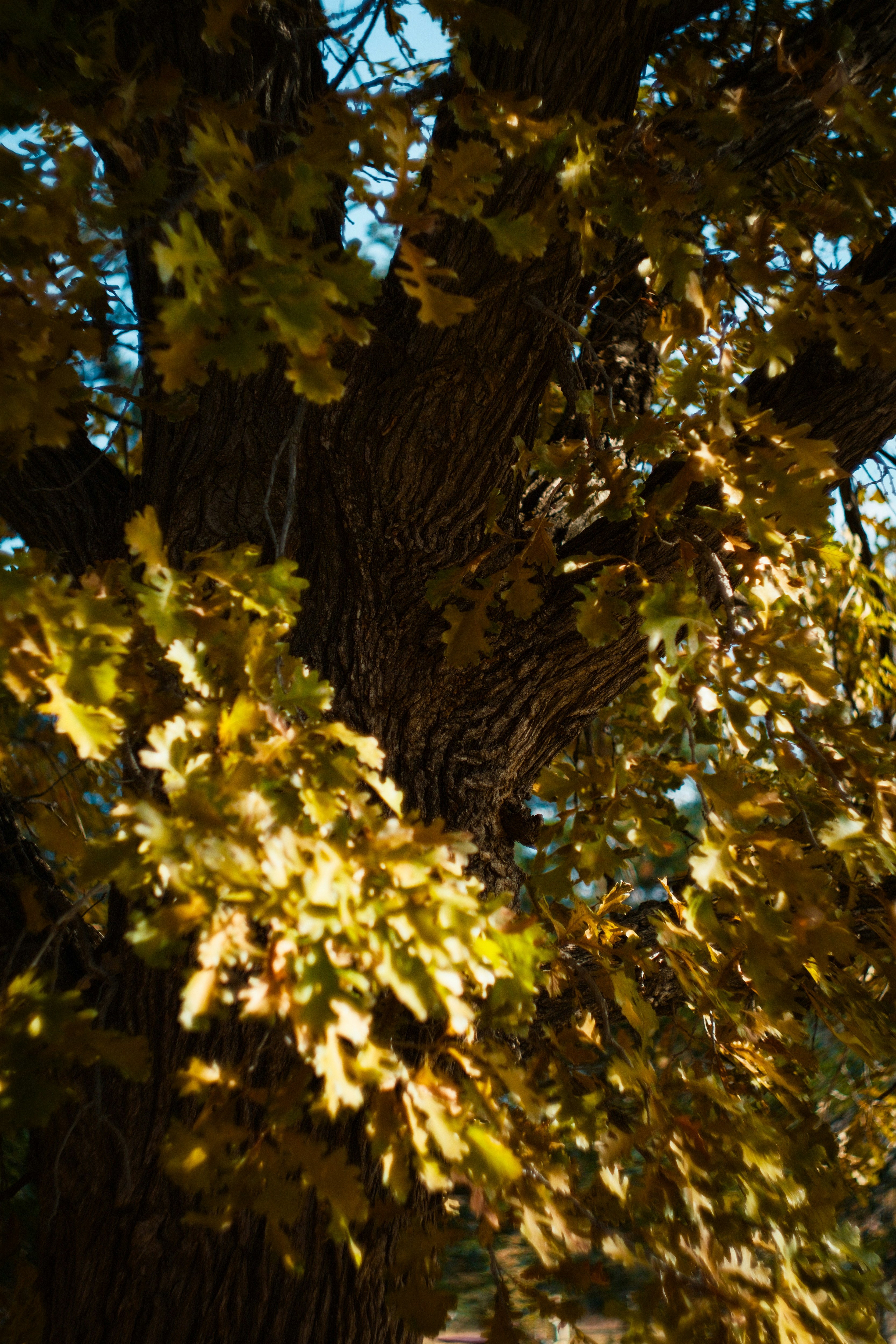 Photo by consoledotlog