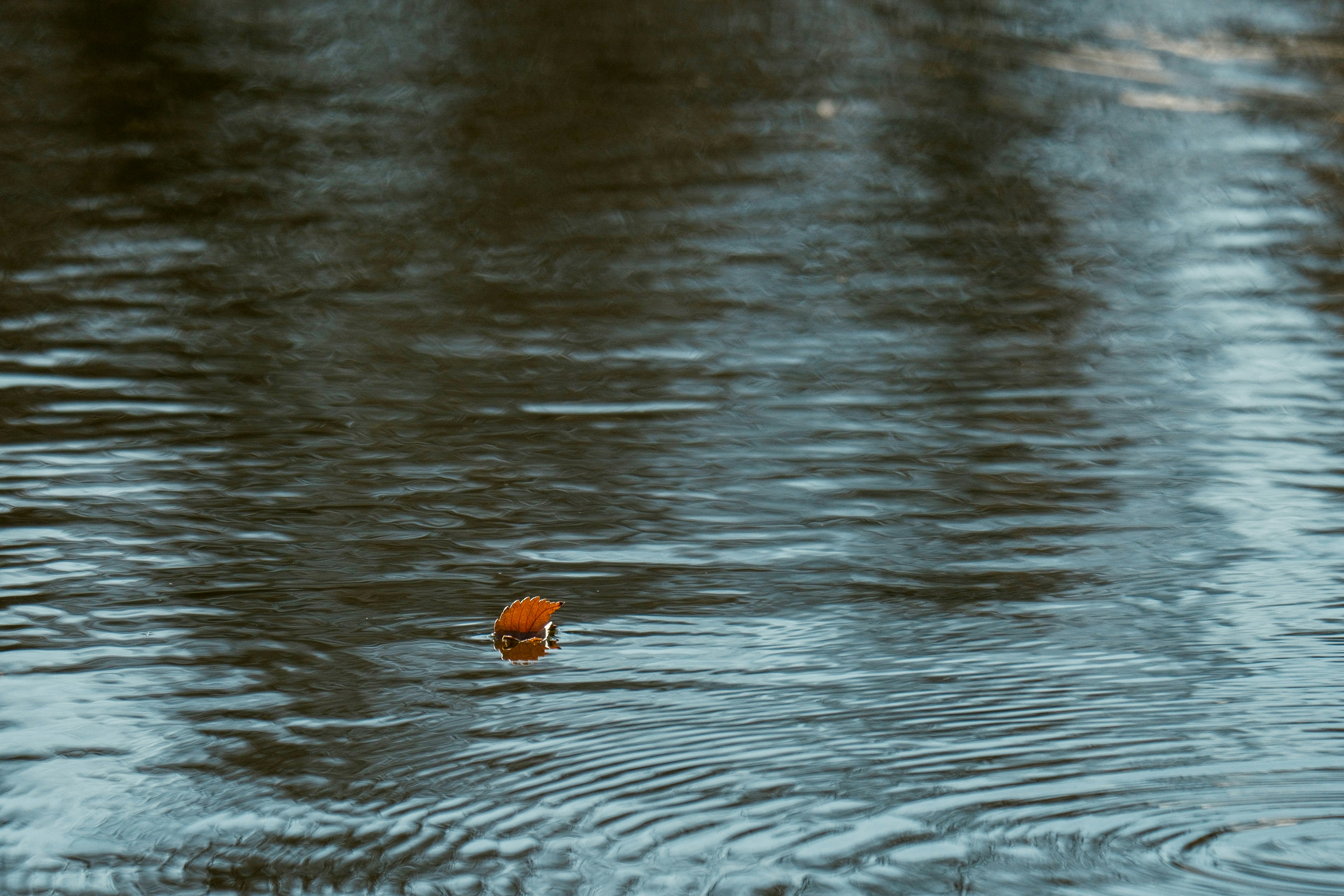 Photo by consoledotlog