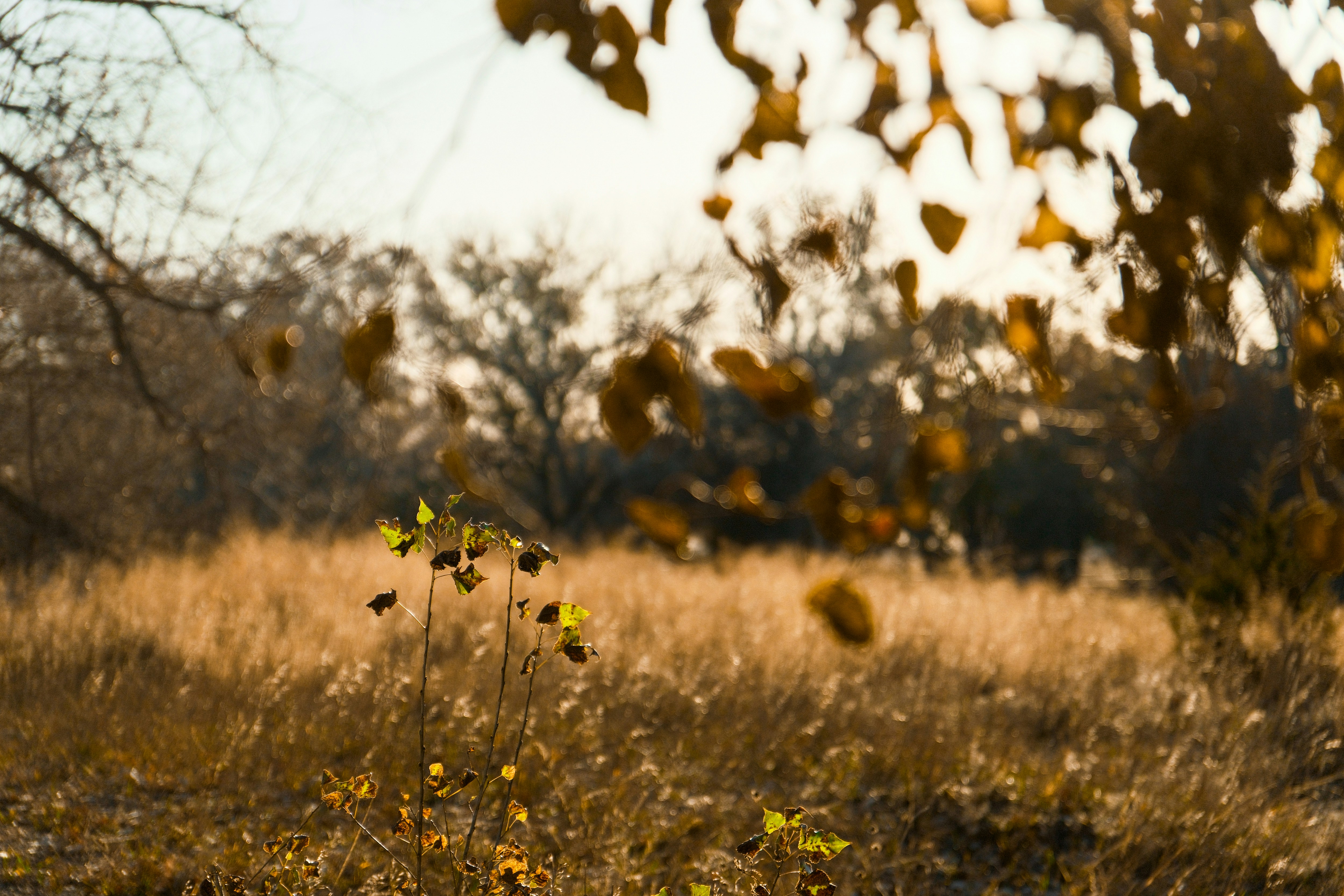 Photo by consoledotlog