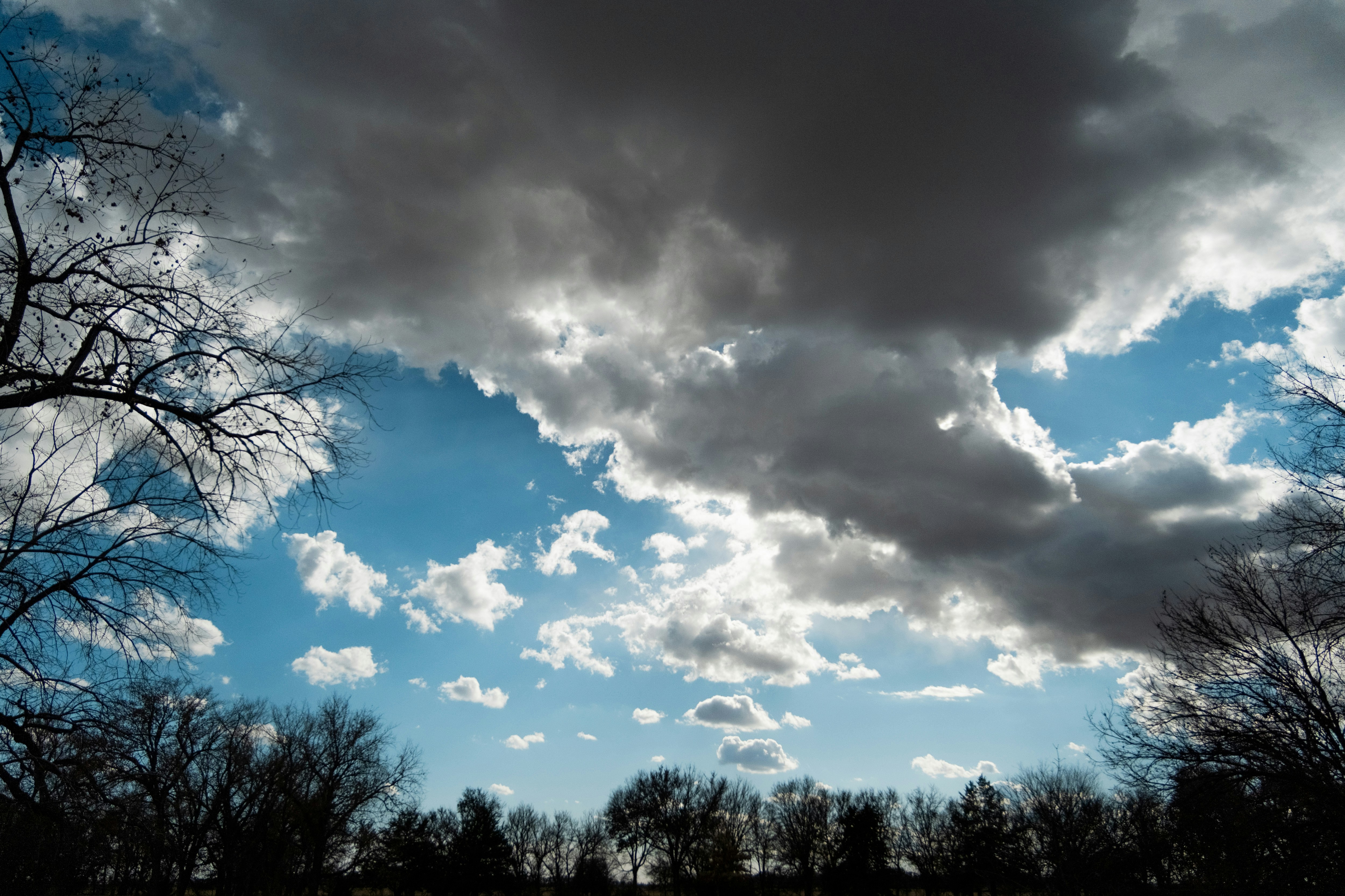 Photo by consoledotlog