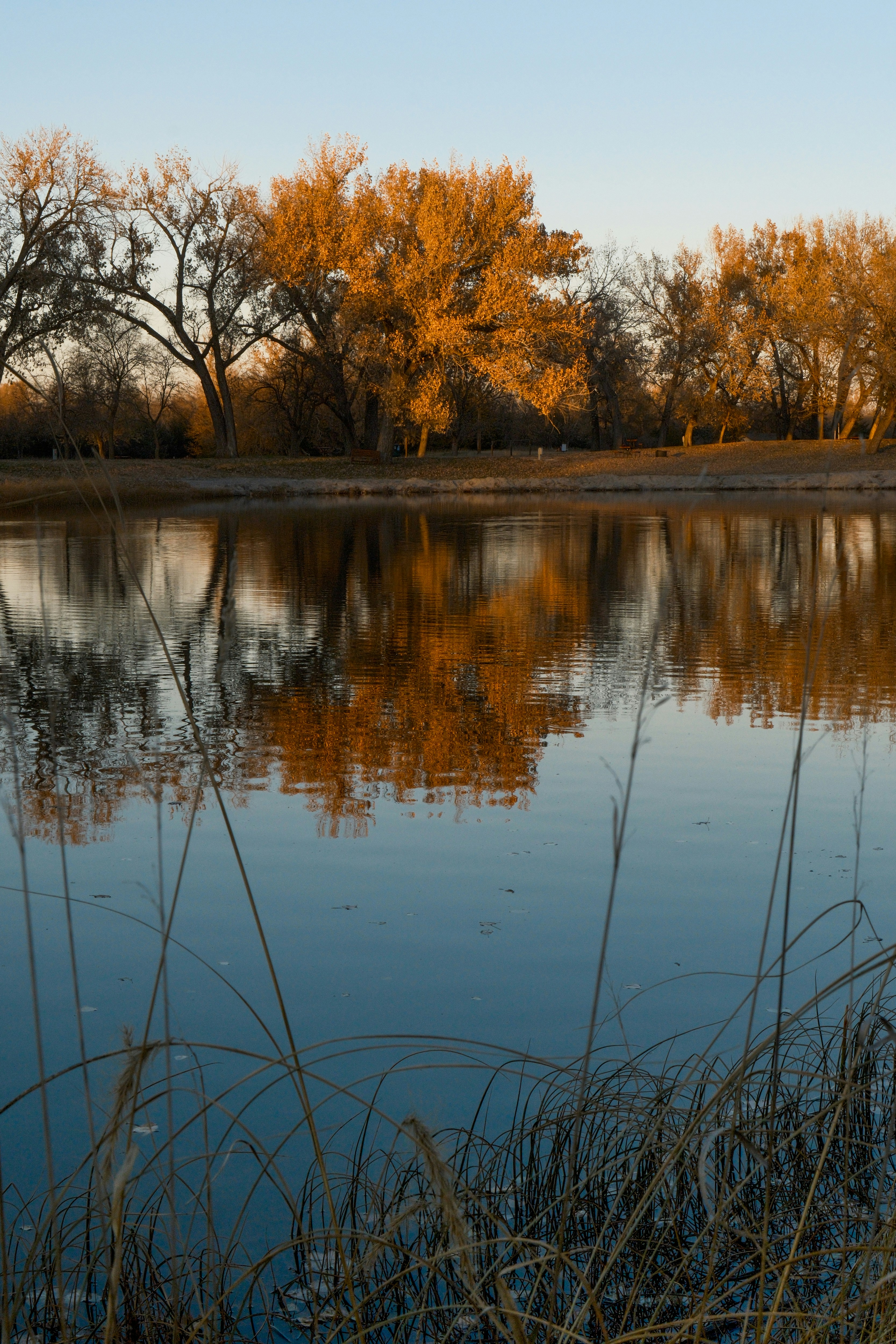 Photo by consoledotlog