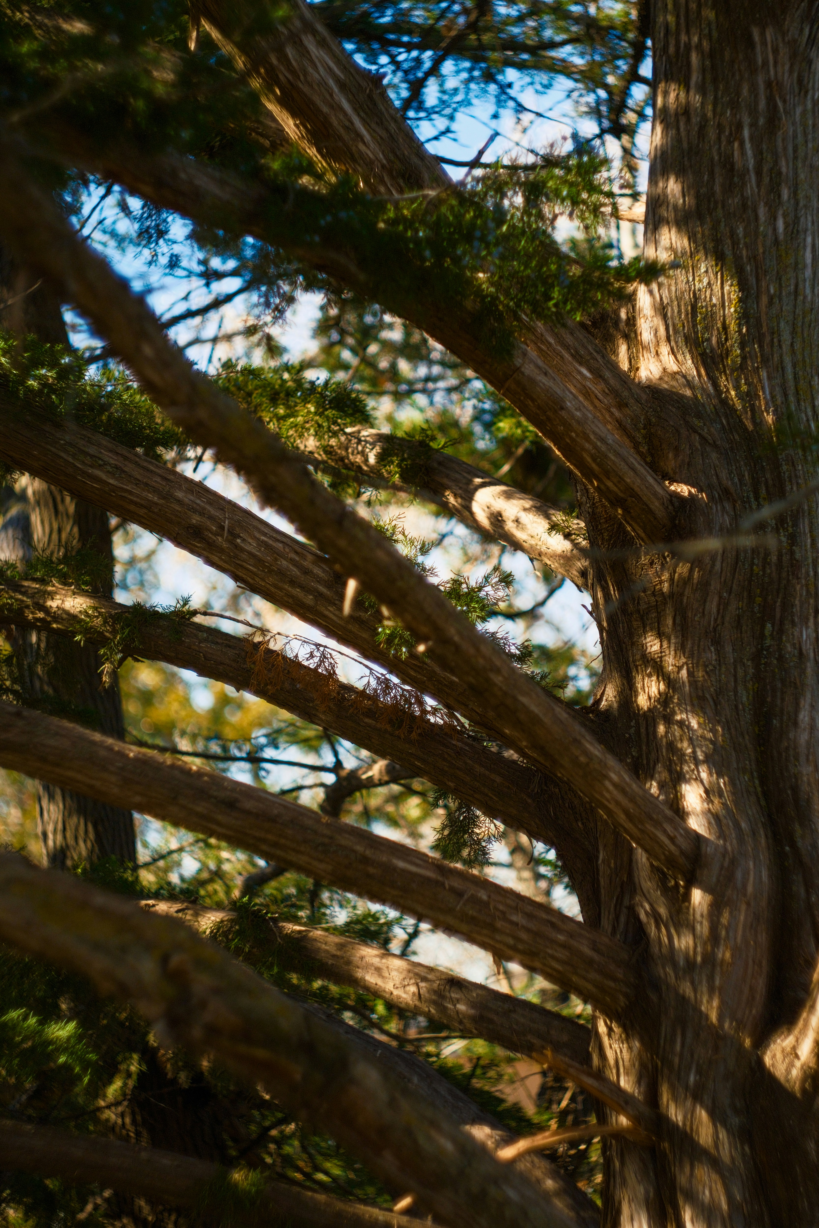 Photo by consoledotlog