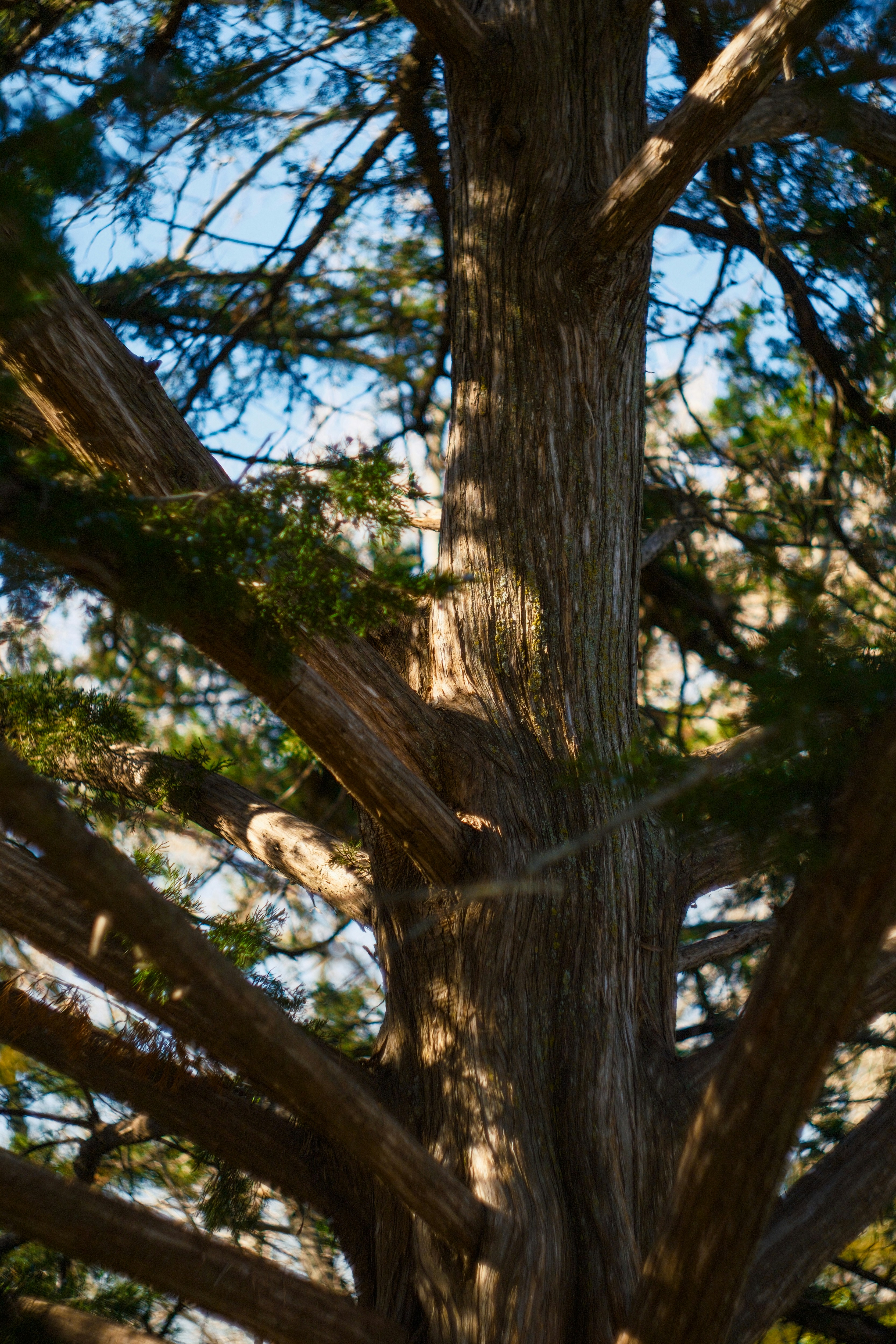 Photo by consoledotlog