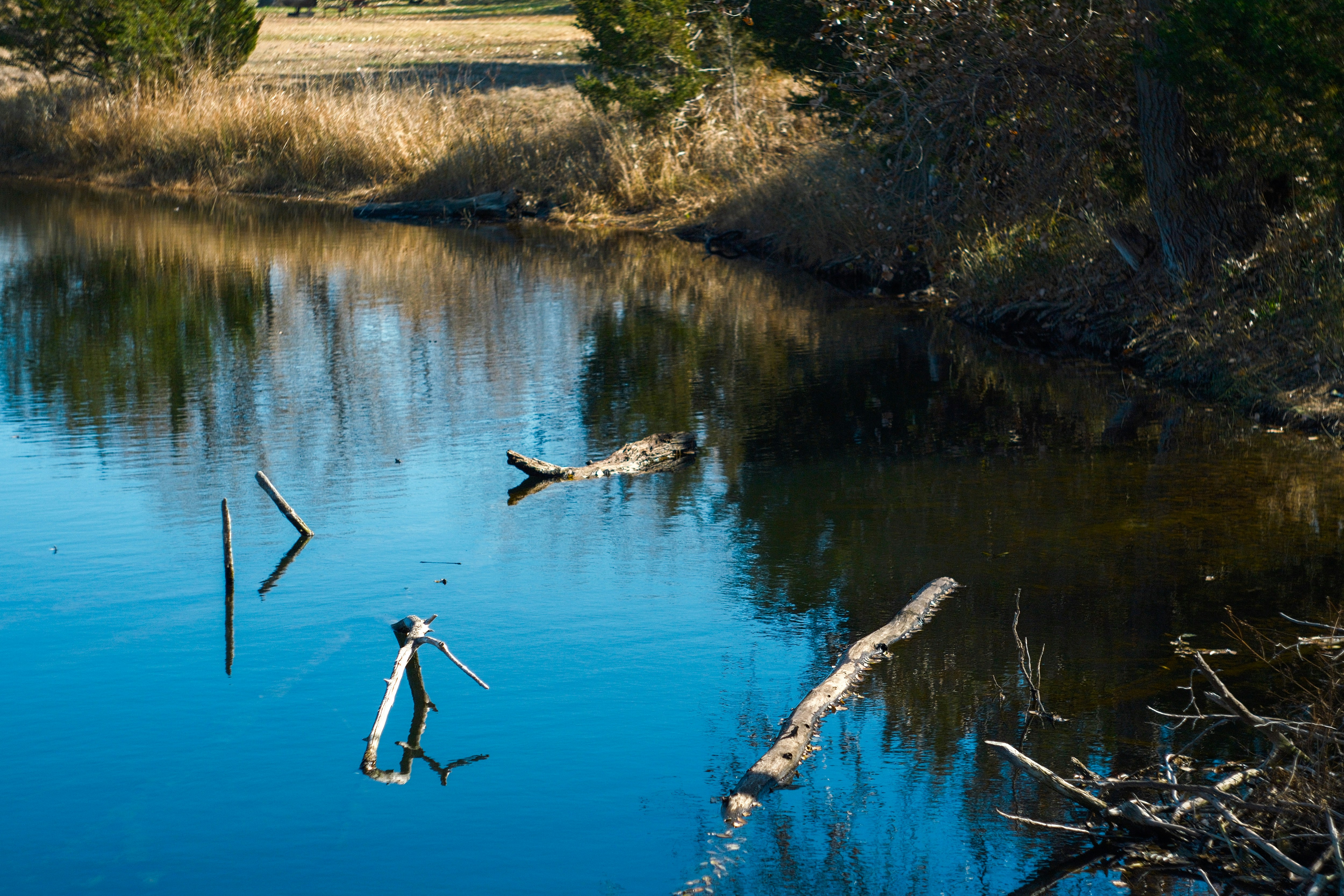 Photo by consoledotlog