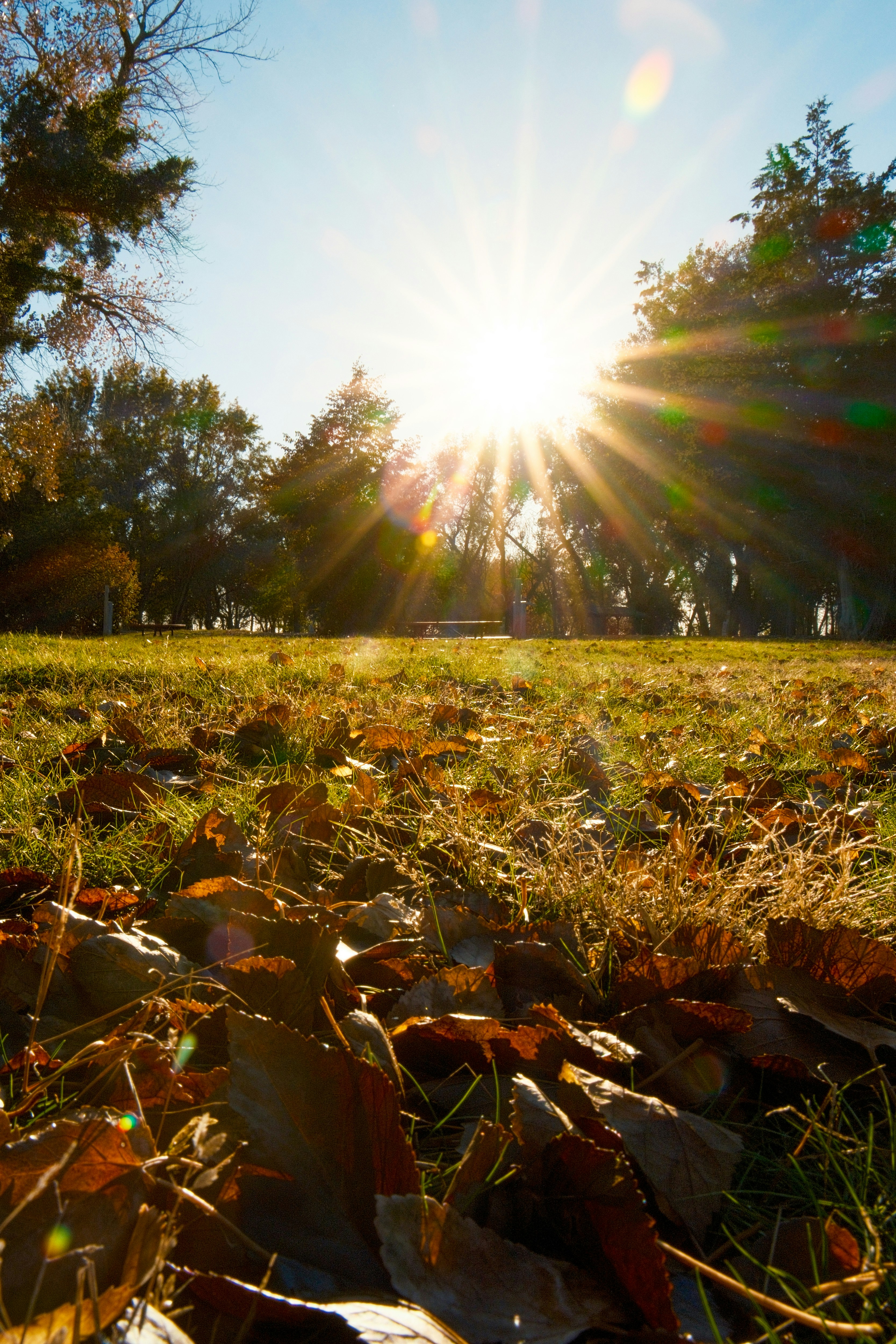 Photo by consoledotlog