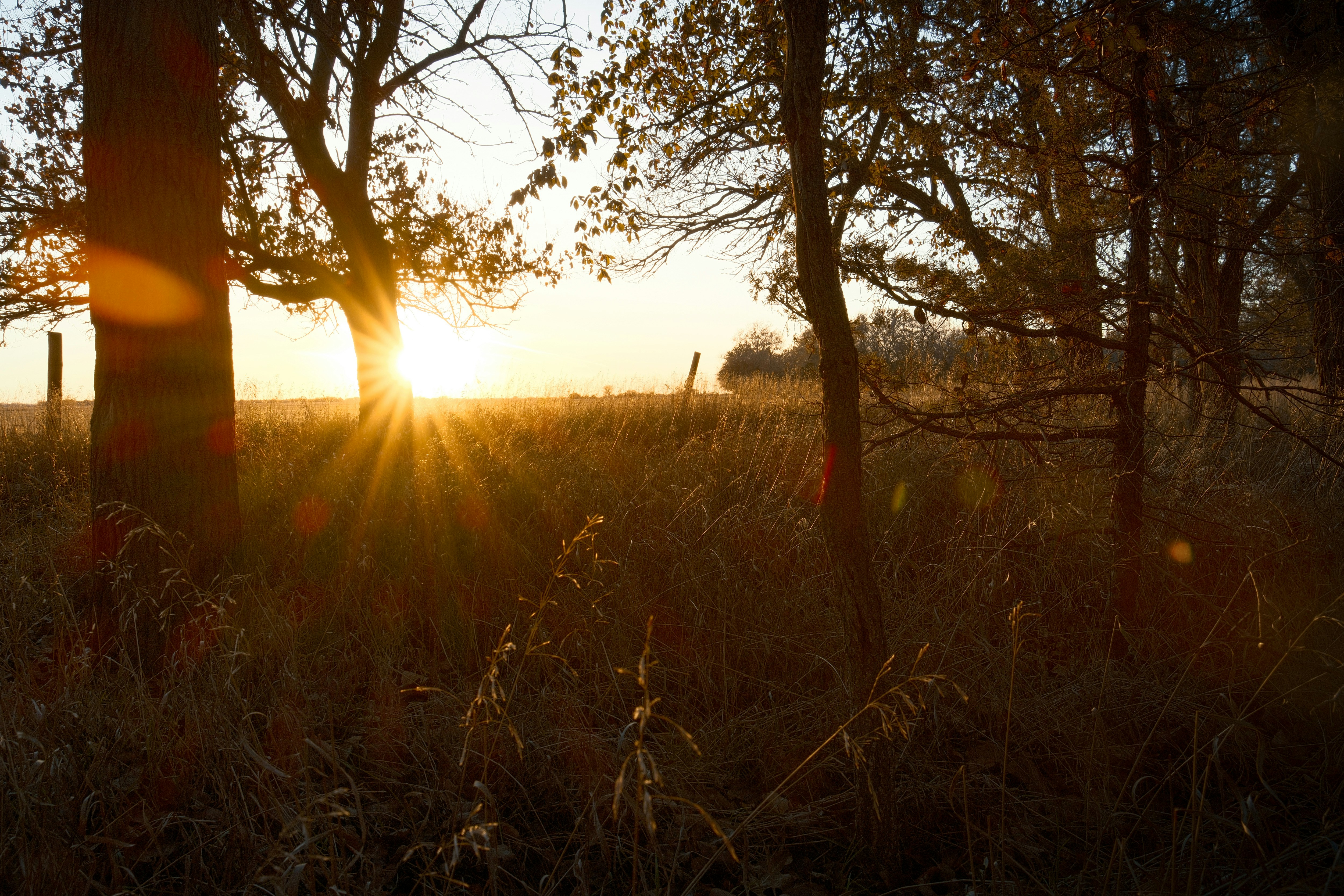 Photo by consoledotlog