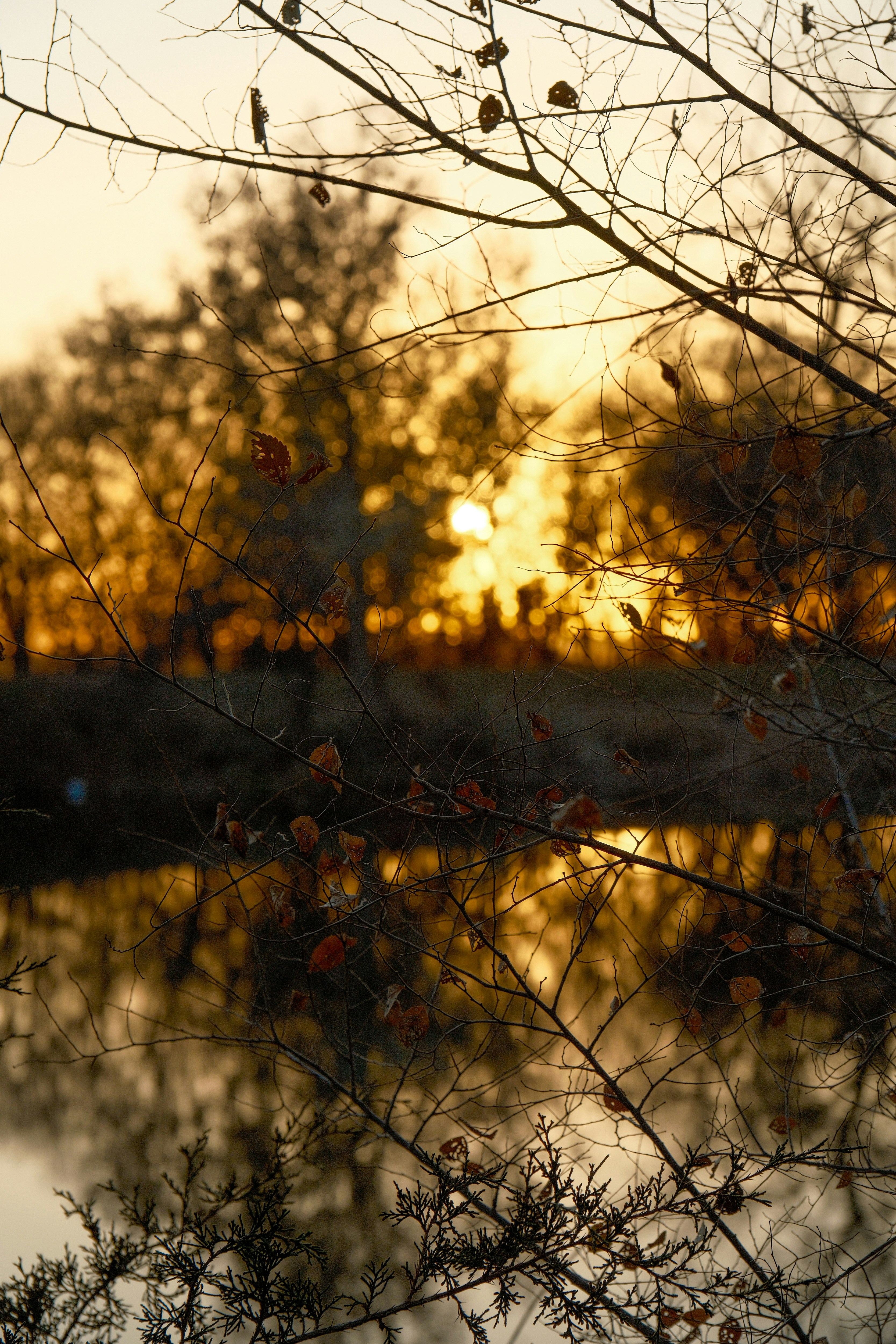 Photo by consoledotlog