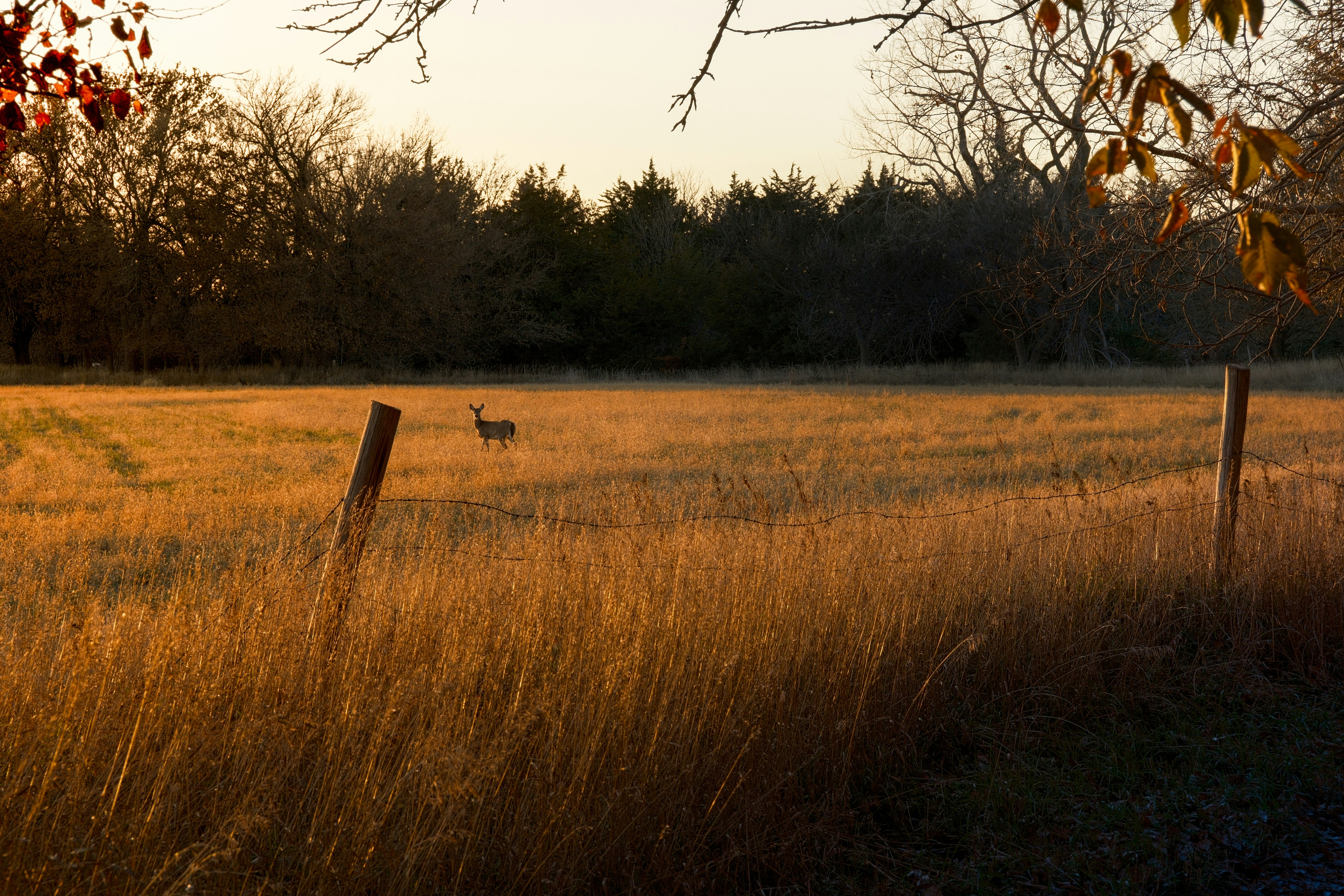 Photo by consoledotlog