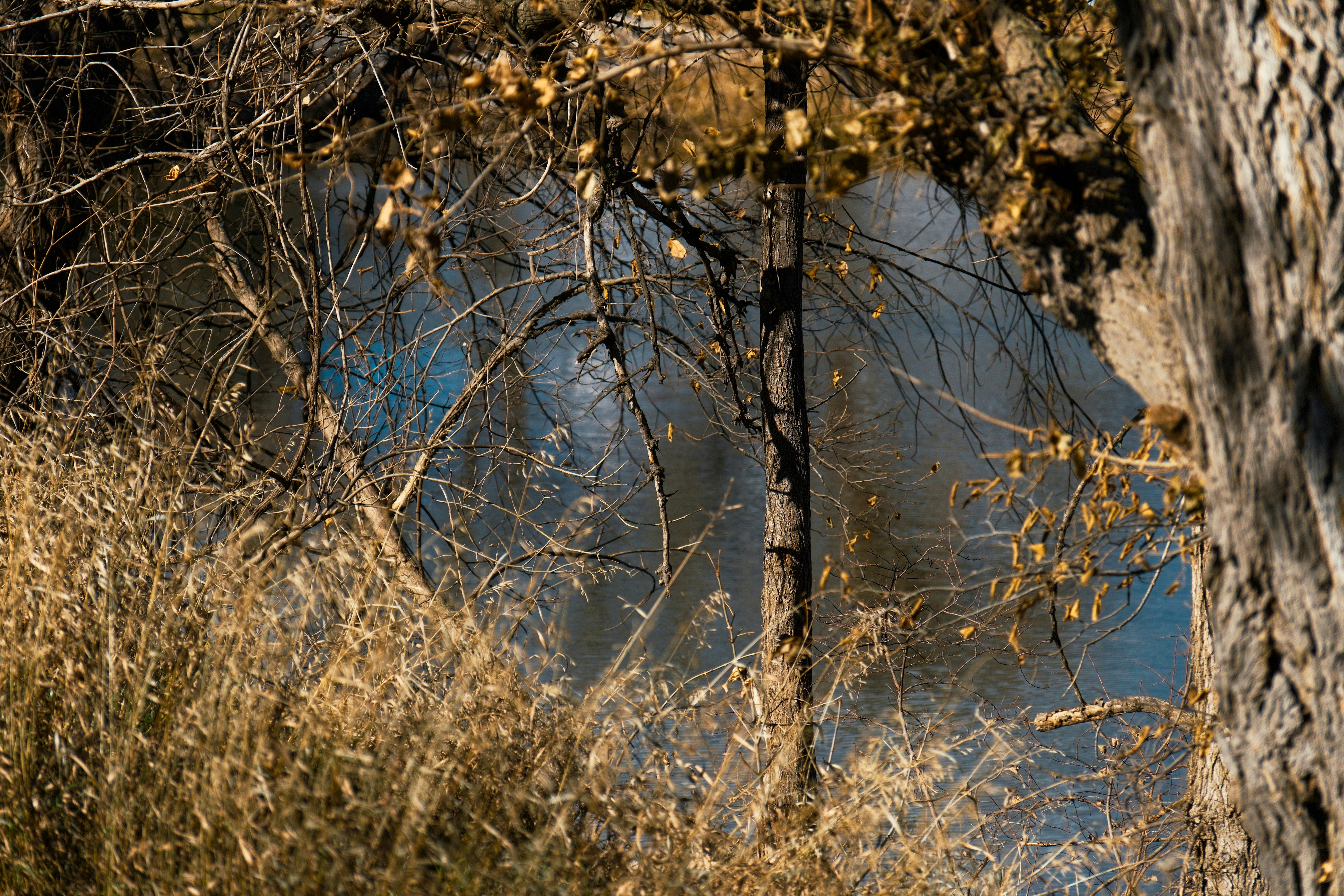 Photo by consoledotlog