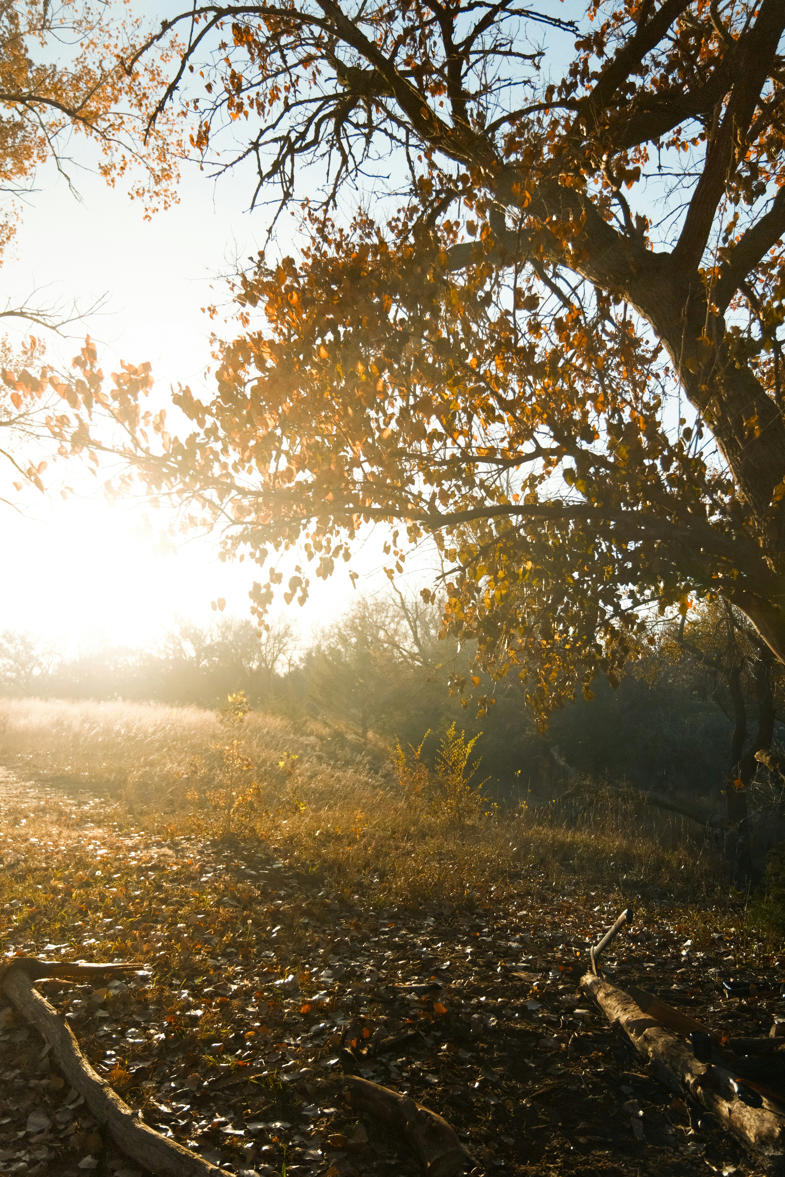 Photo by consoledotlog