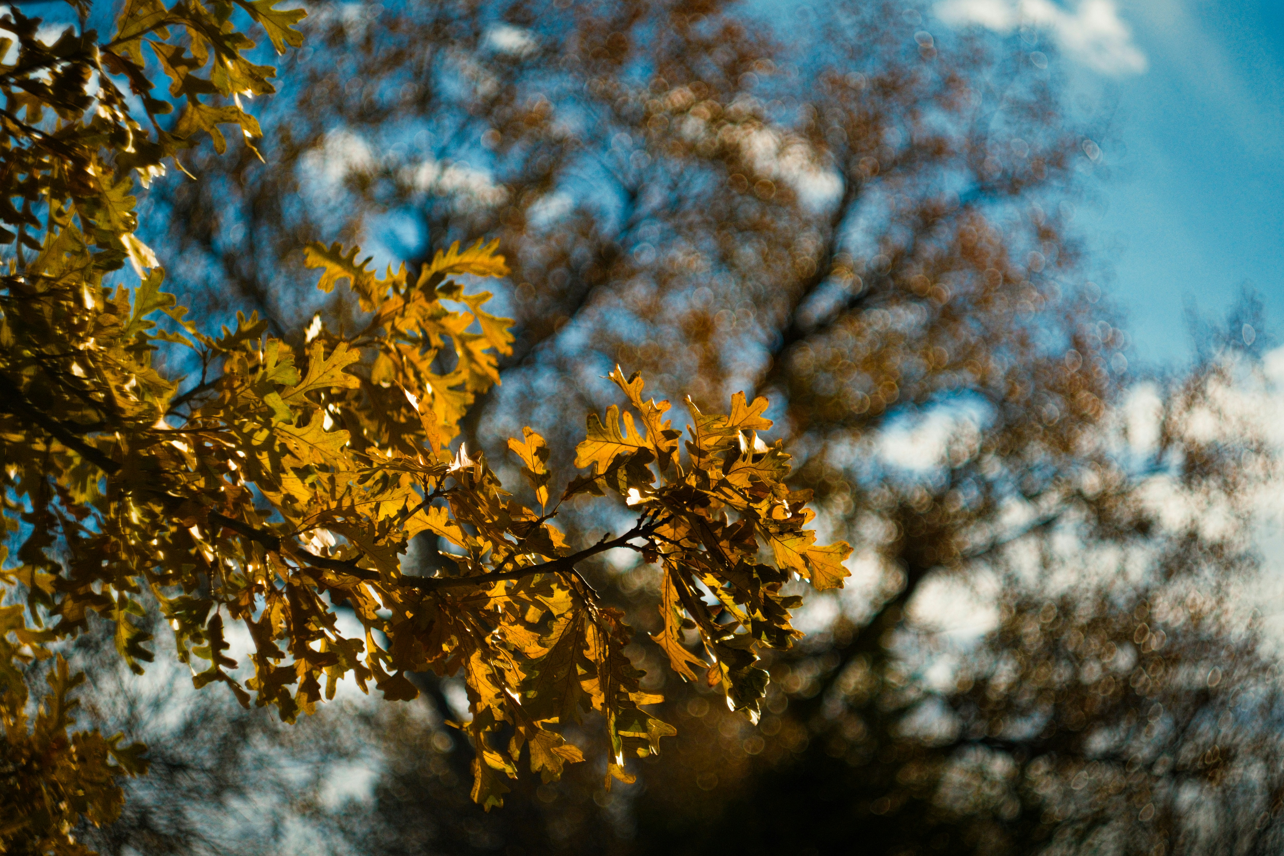 Photo by consoledotlog