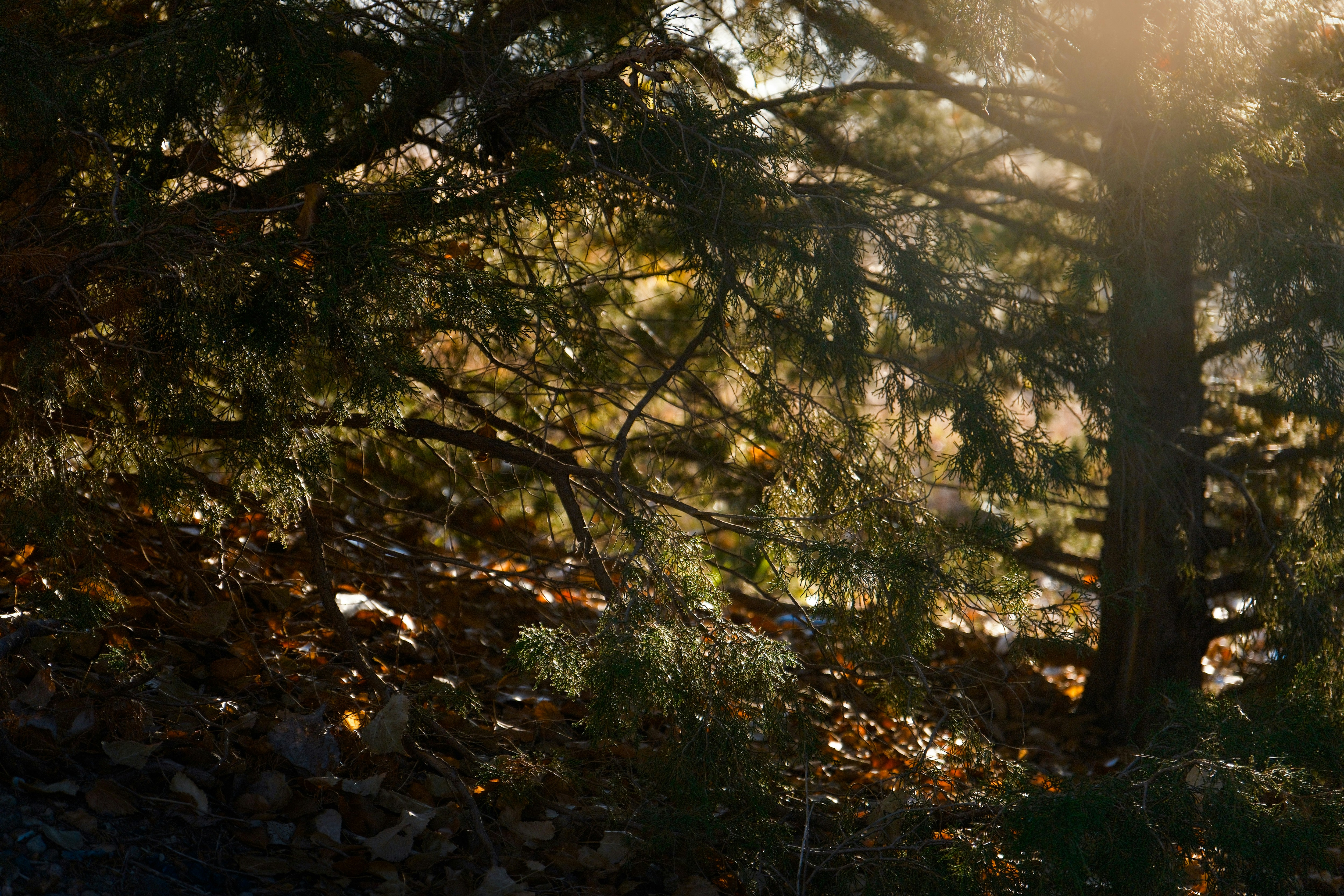 Photo by consoledotlog