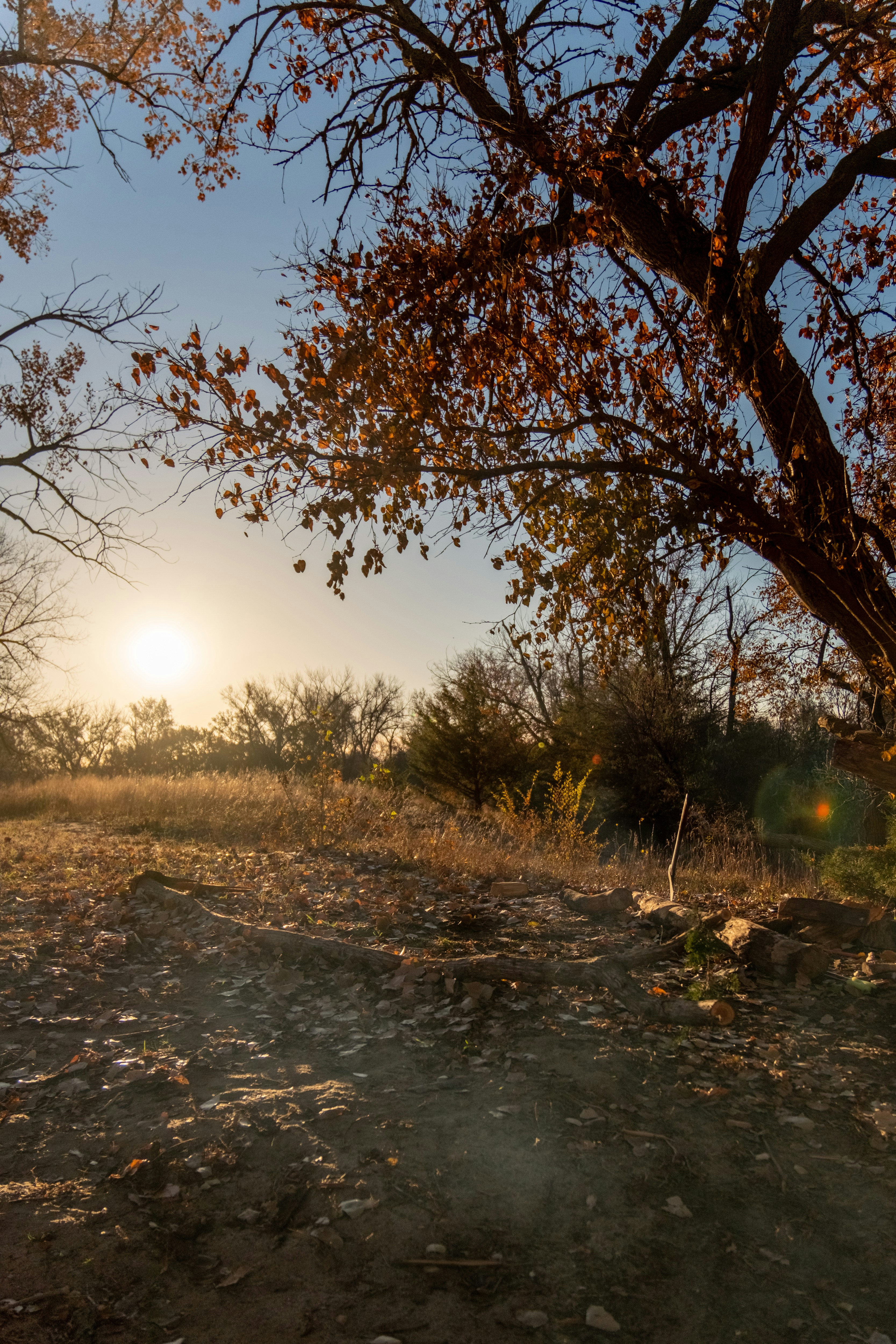 Photo by consoledotlog