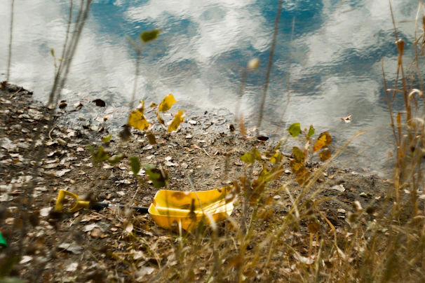 A small shovel and scoop resting on a rocky riverbank beside a flowing stream.
