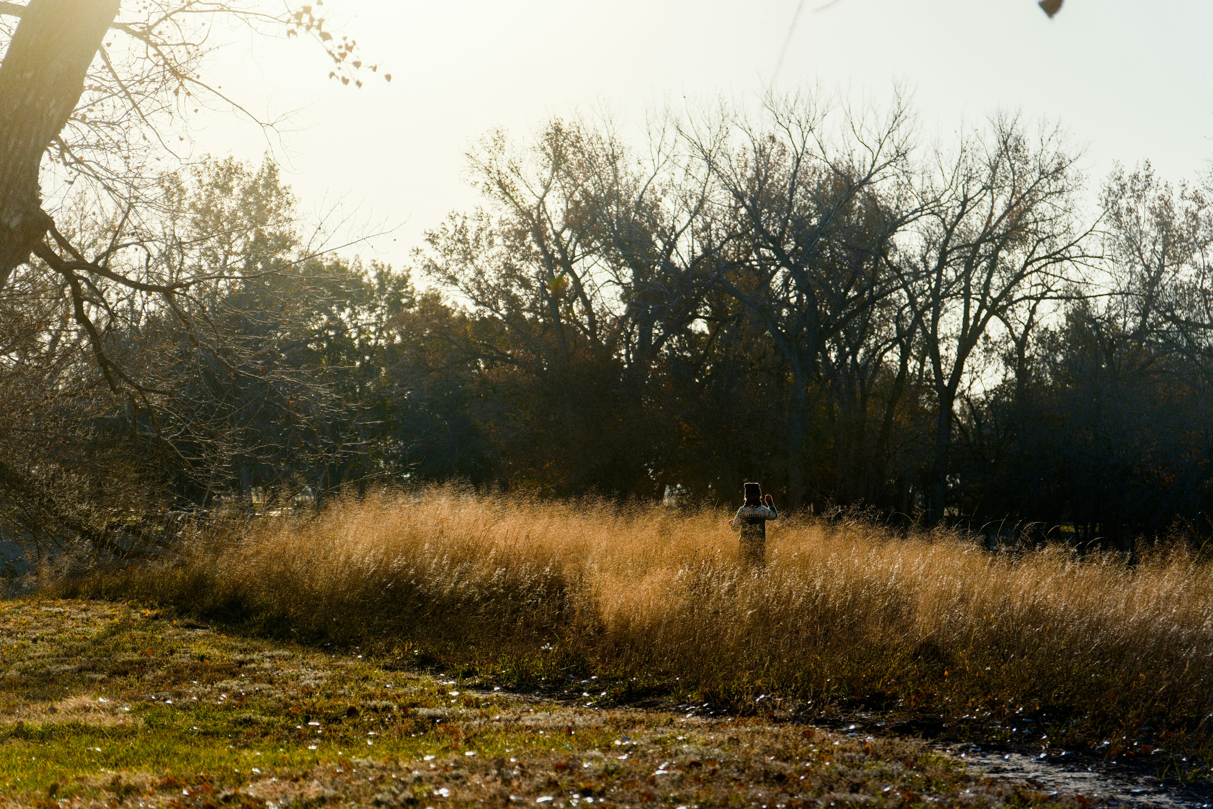 Photo by consoledotlog