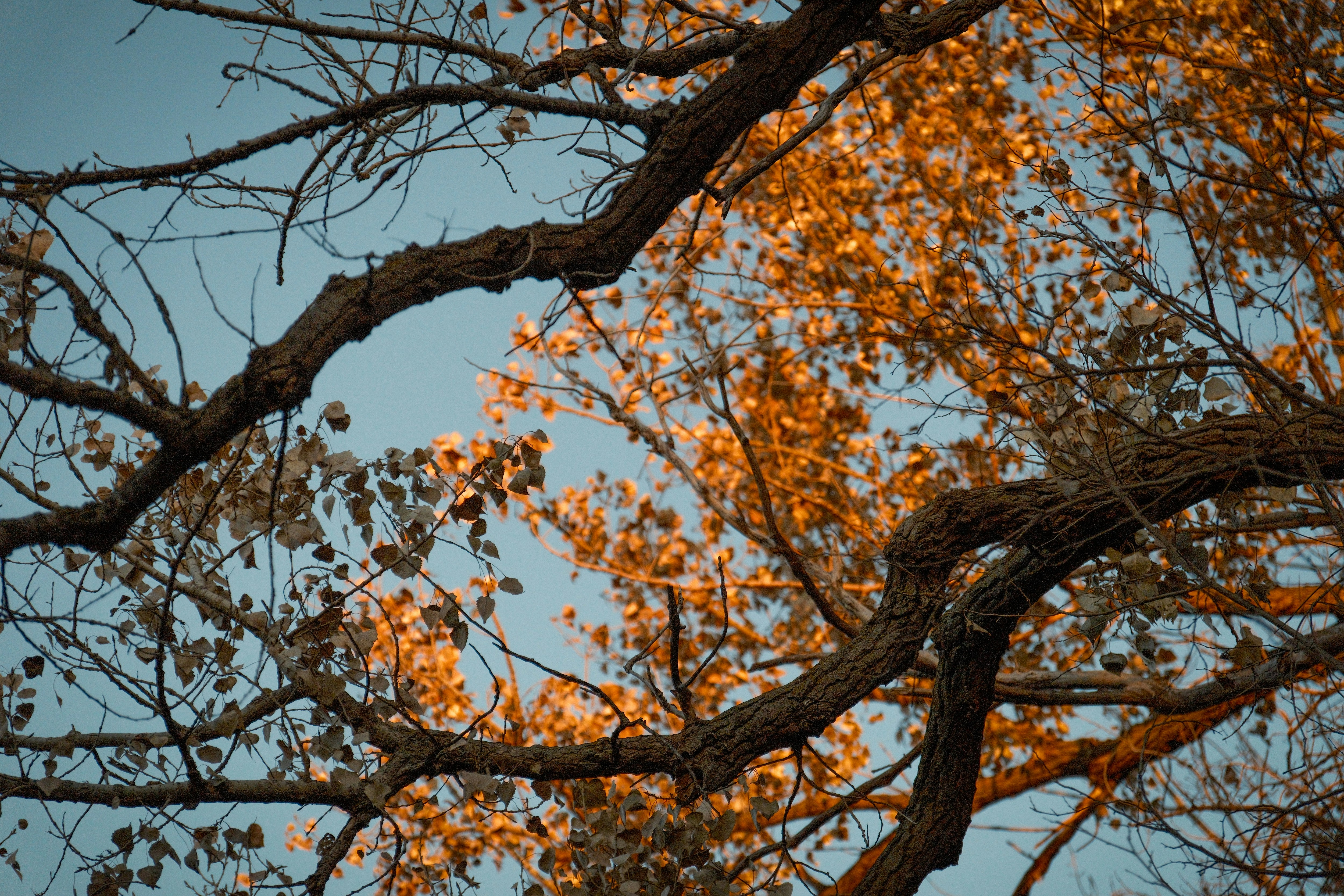 Photo by consoledotlog