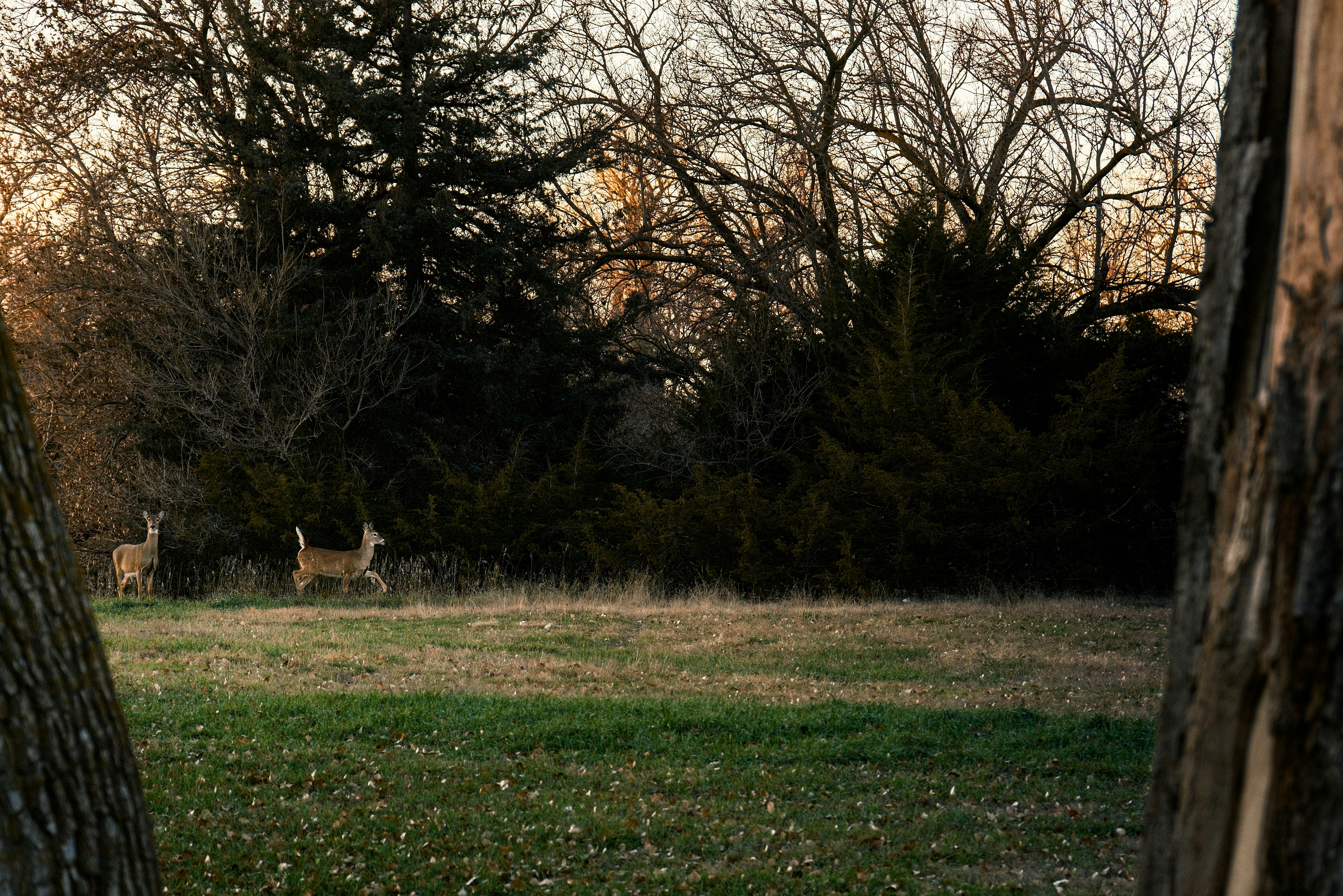 Photo by consoledotlog