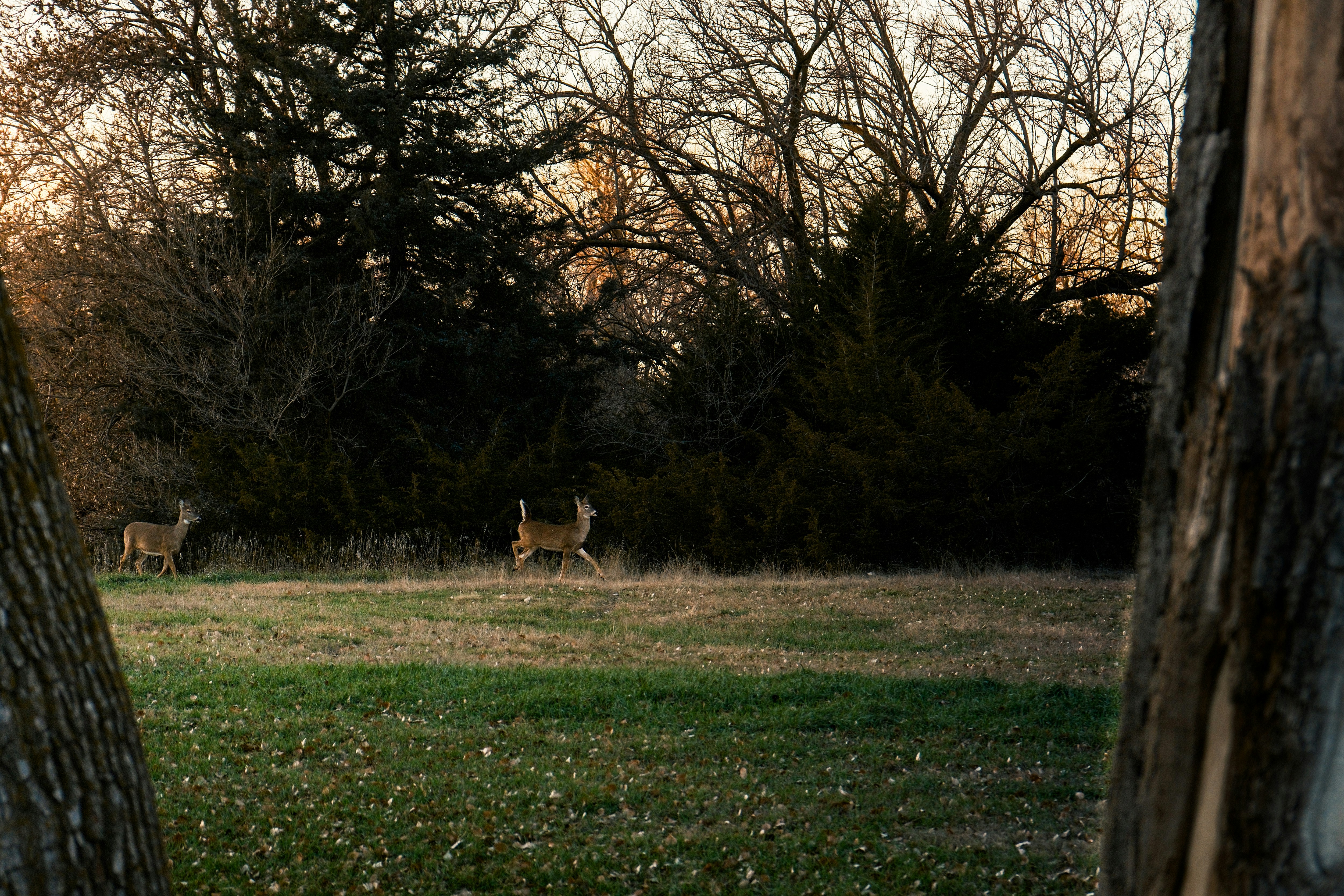 Photo by consoledotlog