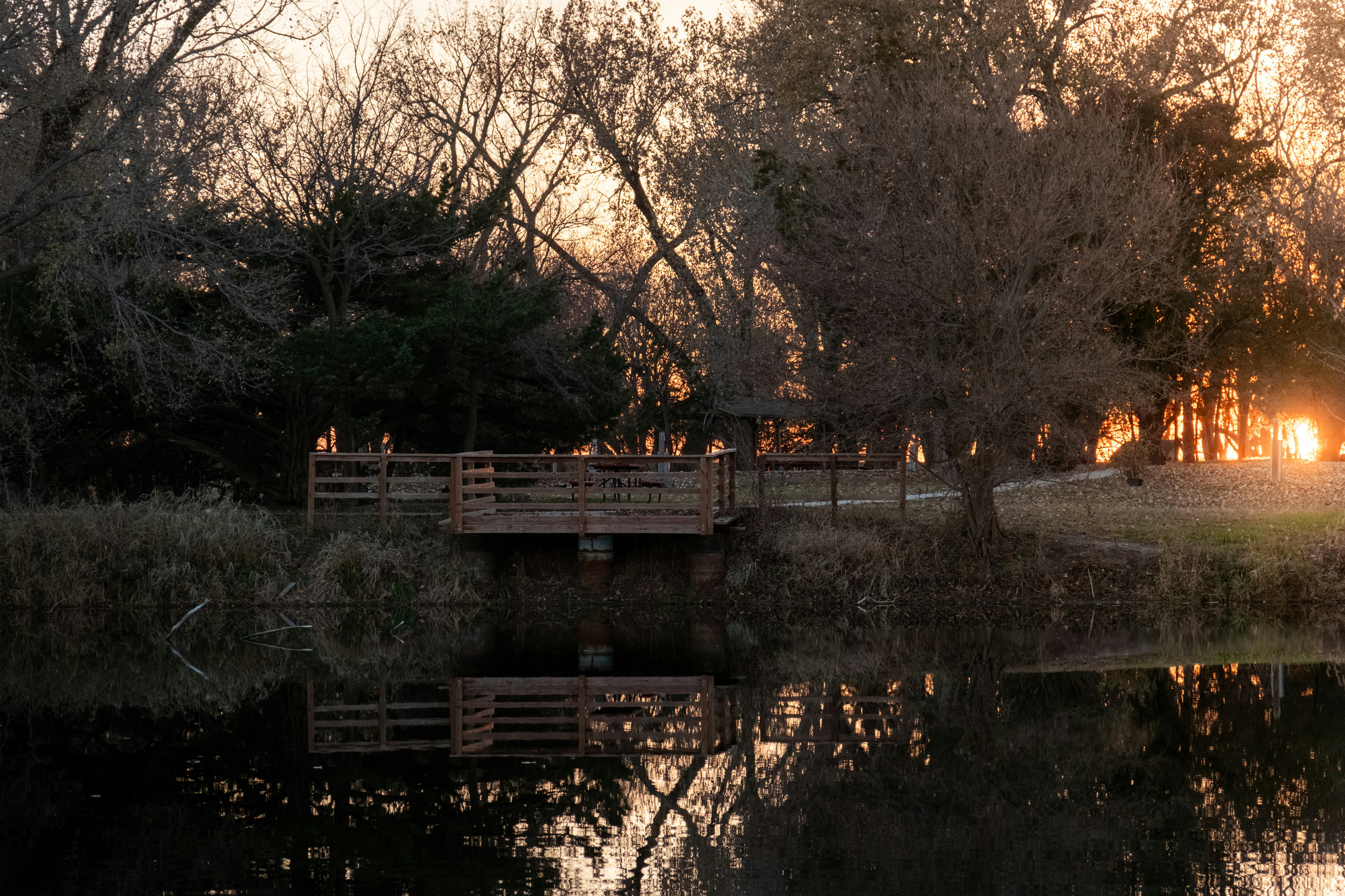 Photo by consoledotlog