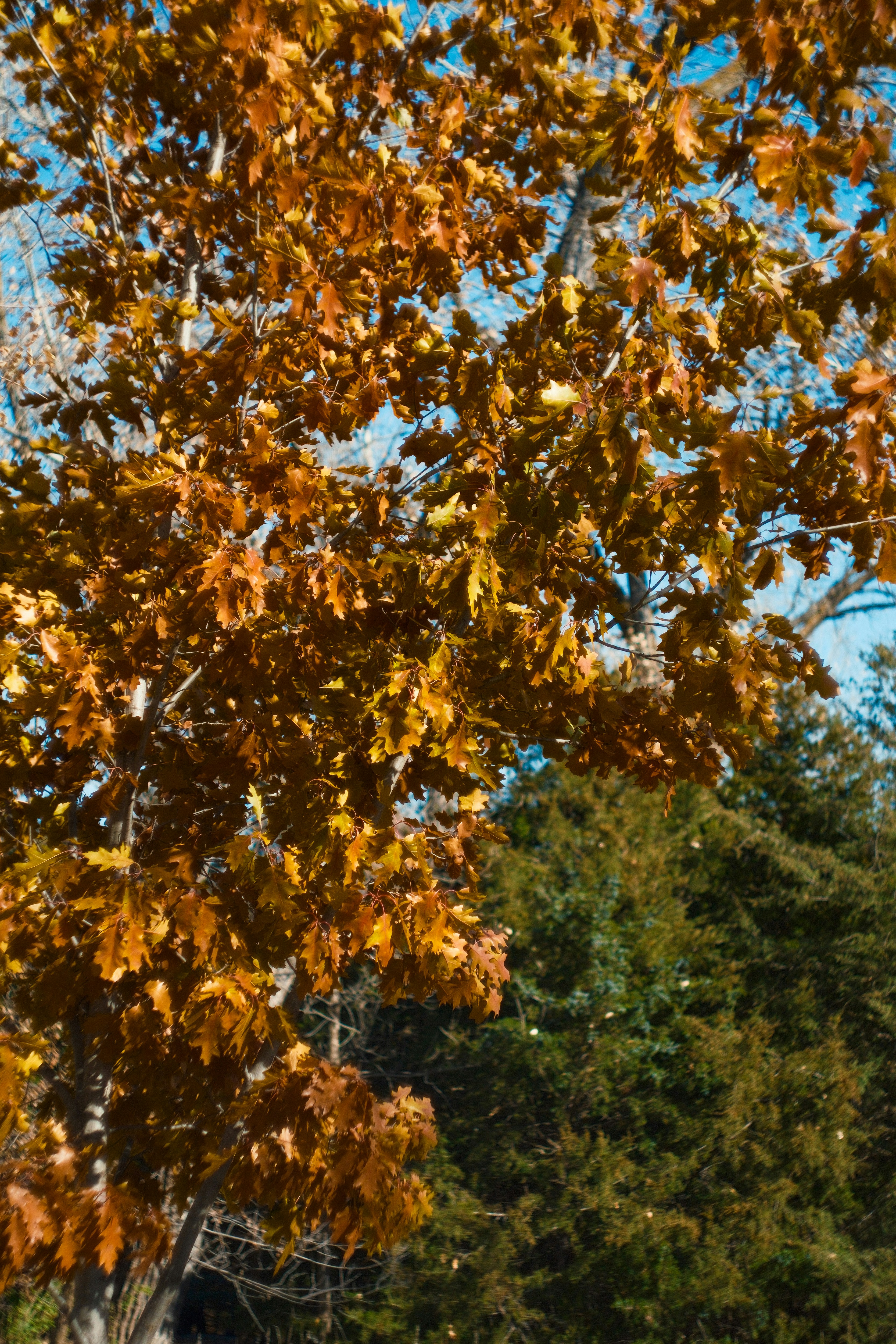 Photo by consoledotlog