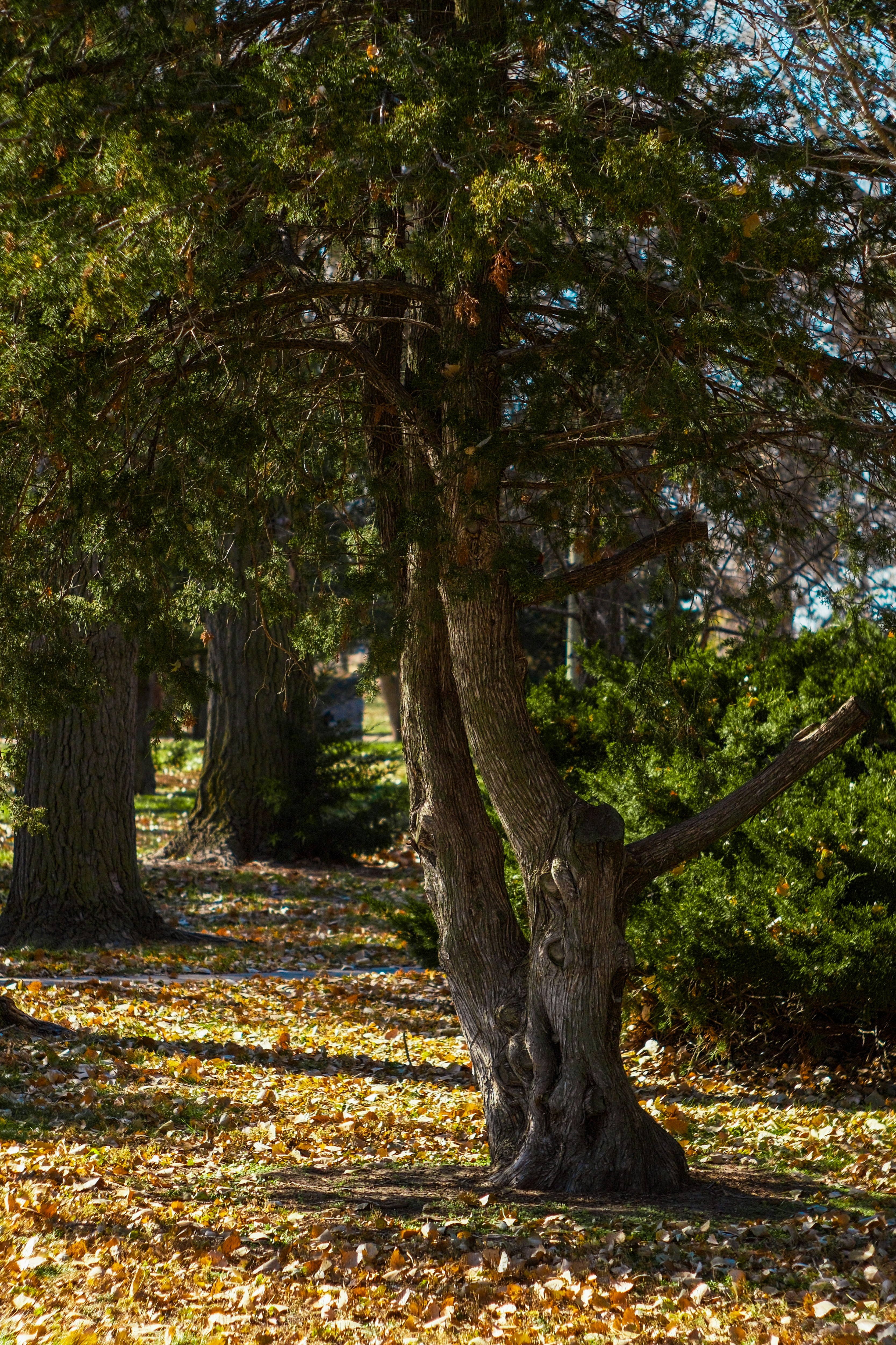 Photo by consoledotlog