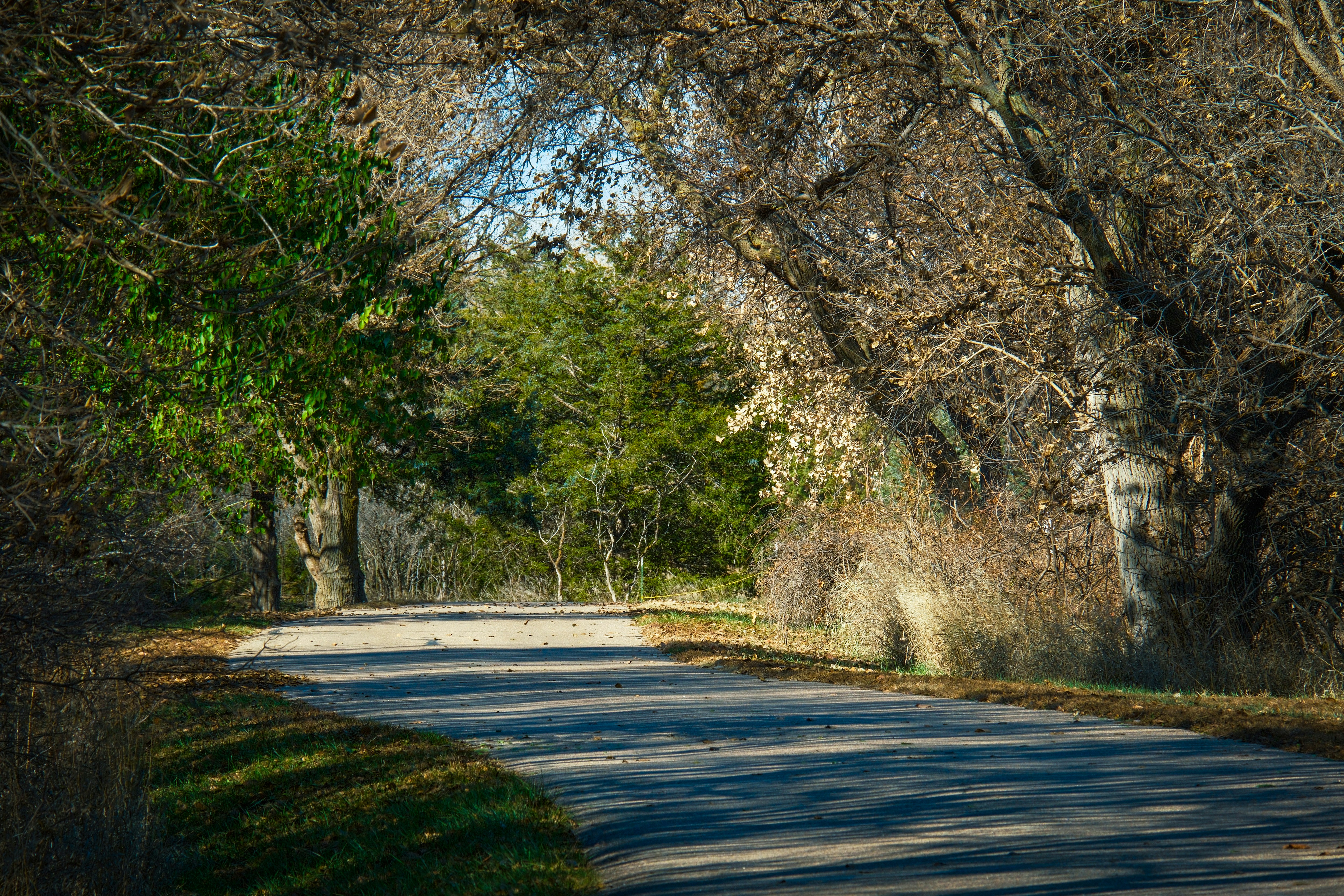 Photo by consoledotlog