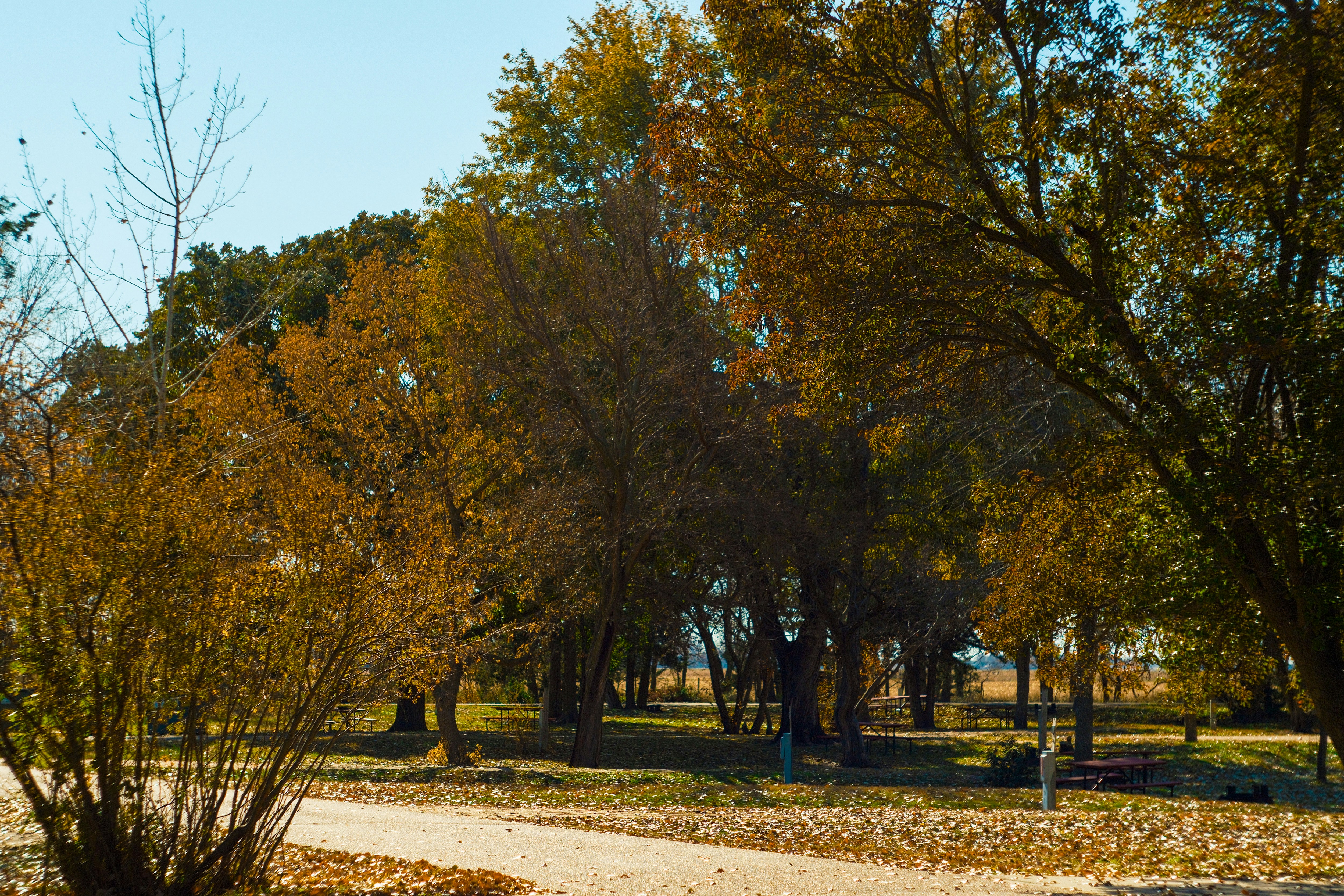 Photo by consoledotlog