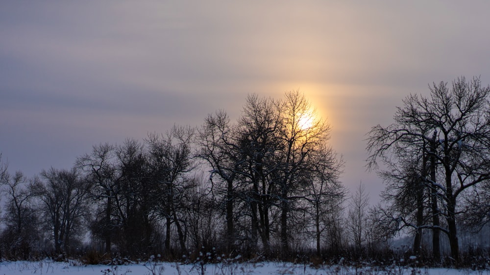 the sun is shining through the clouds over the trees