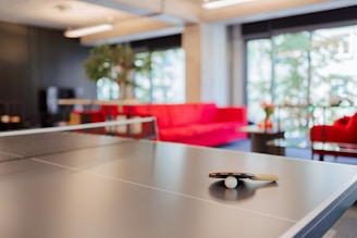 A ping pong paddle rests on top of a table tennis table. The background features a modern interior space with a large red couch, potted plants, and large windows allowing natural light.