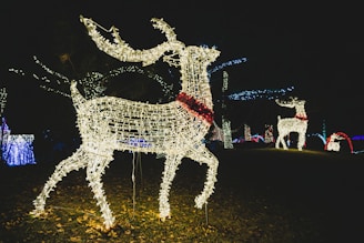 A group of colorful LED-lit reindeer figures arranged in a festive outdoor setting.