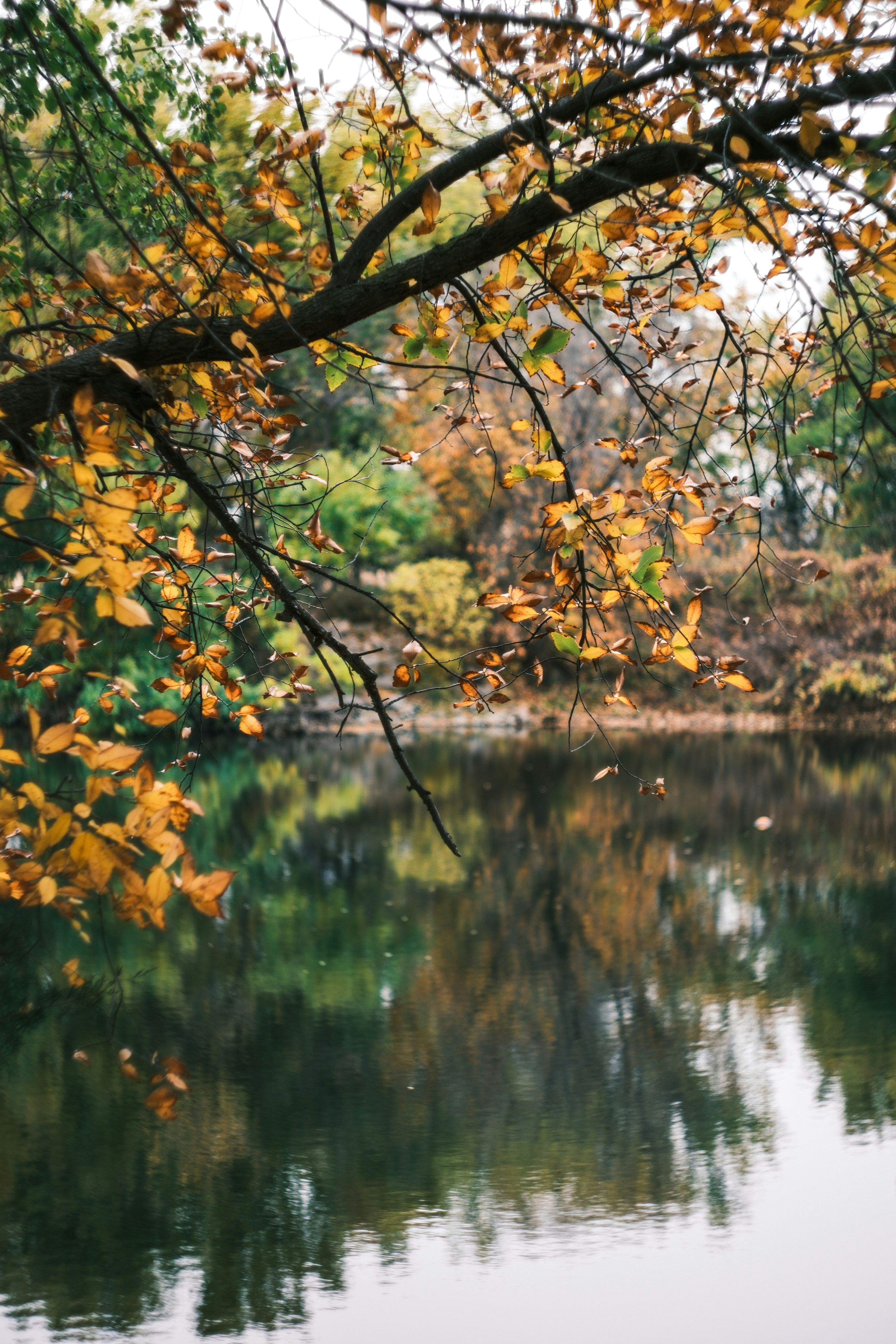 Photo by consoledotlog