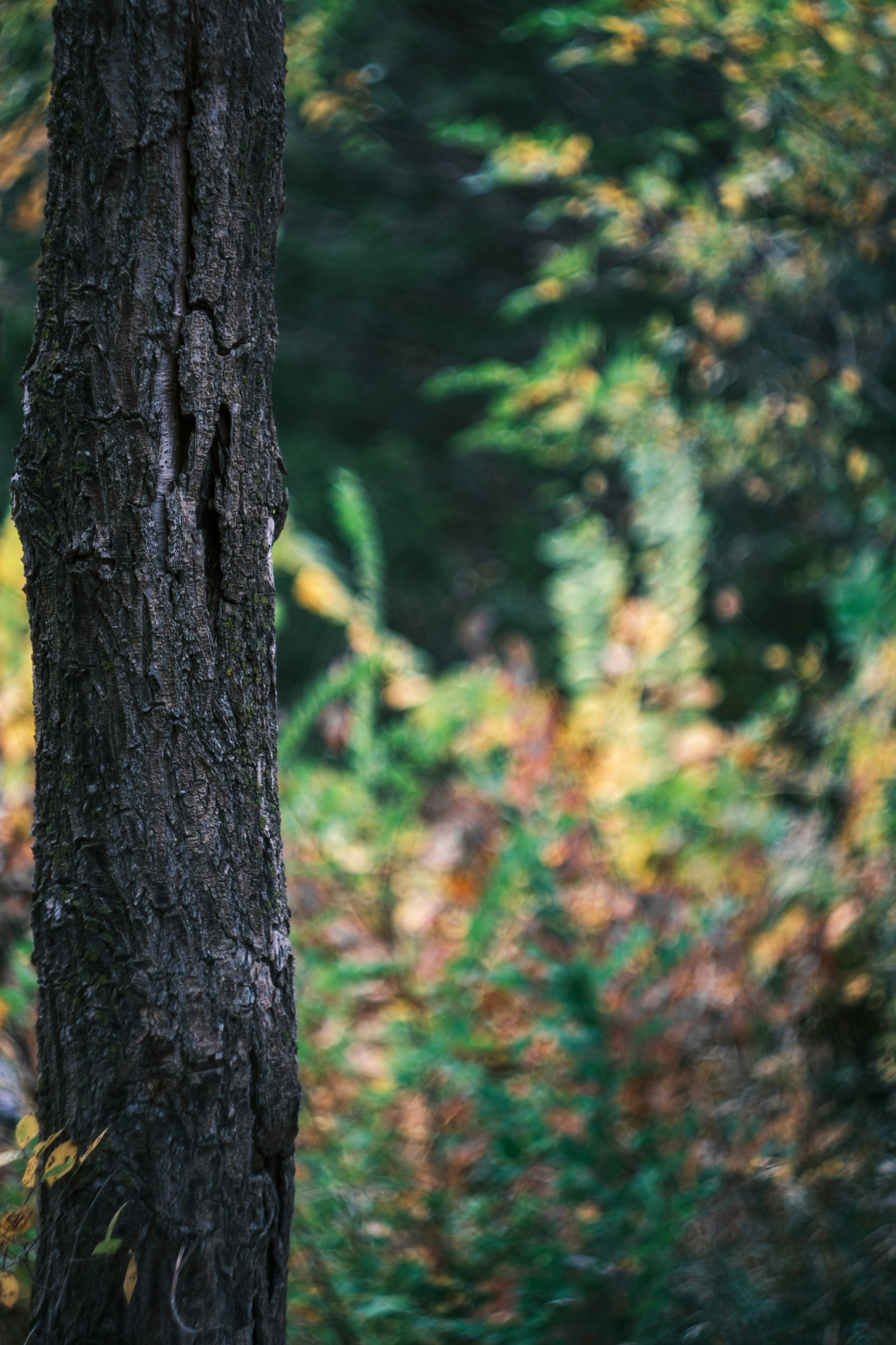 Photo by consoledotlog