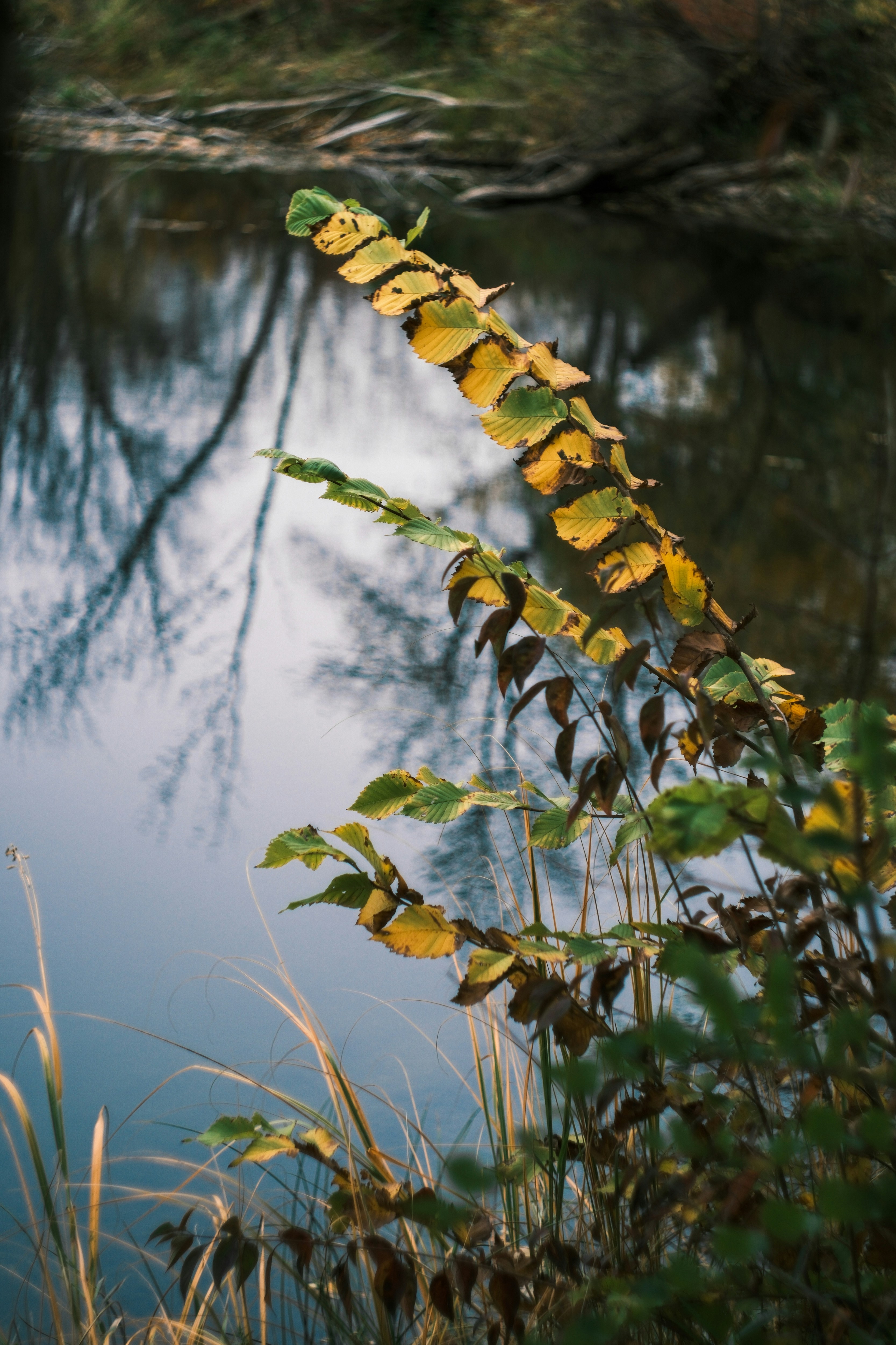 Photo by consoledotlog