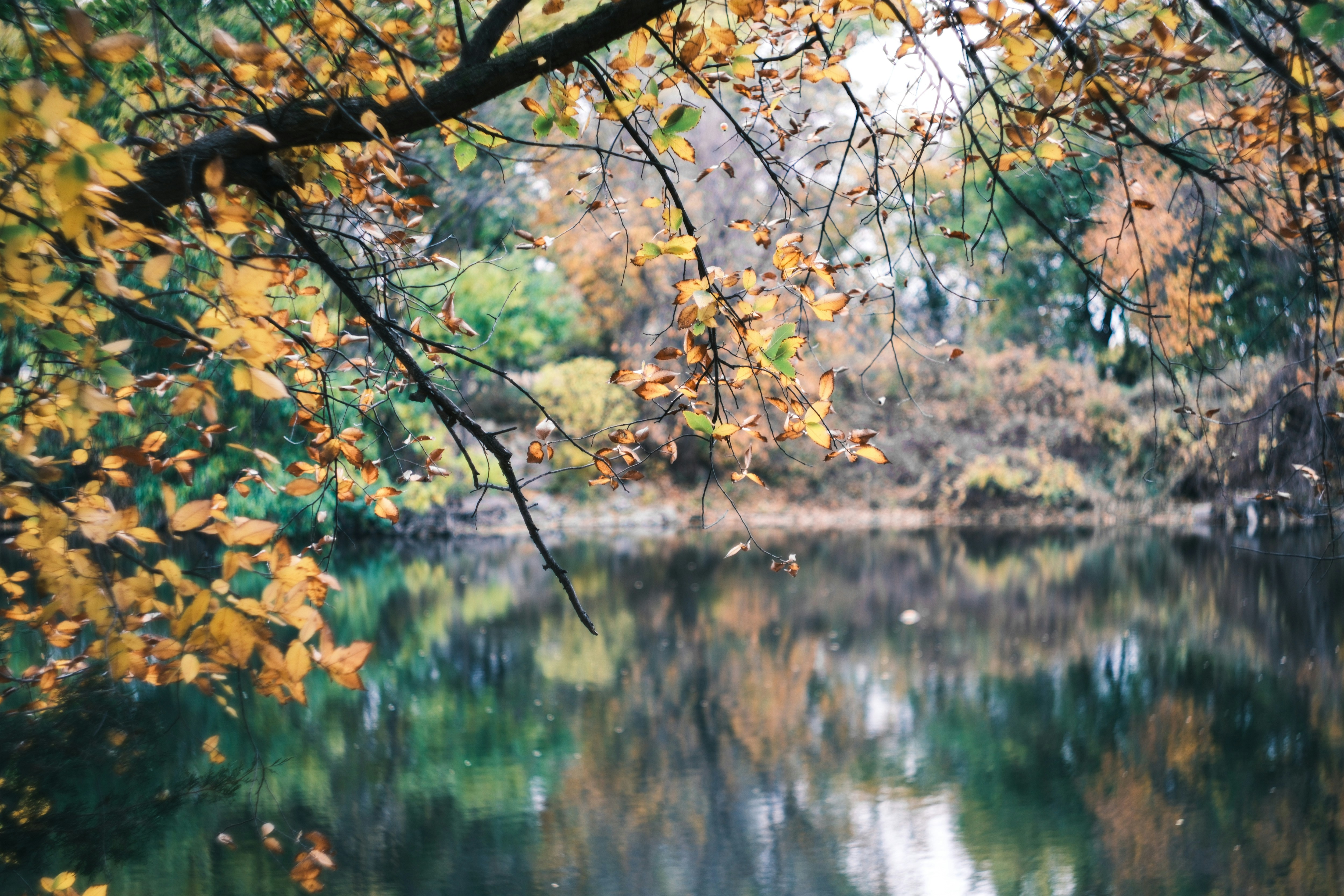 Photo by consoledotlog