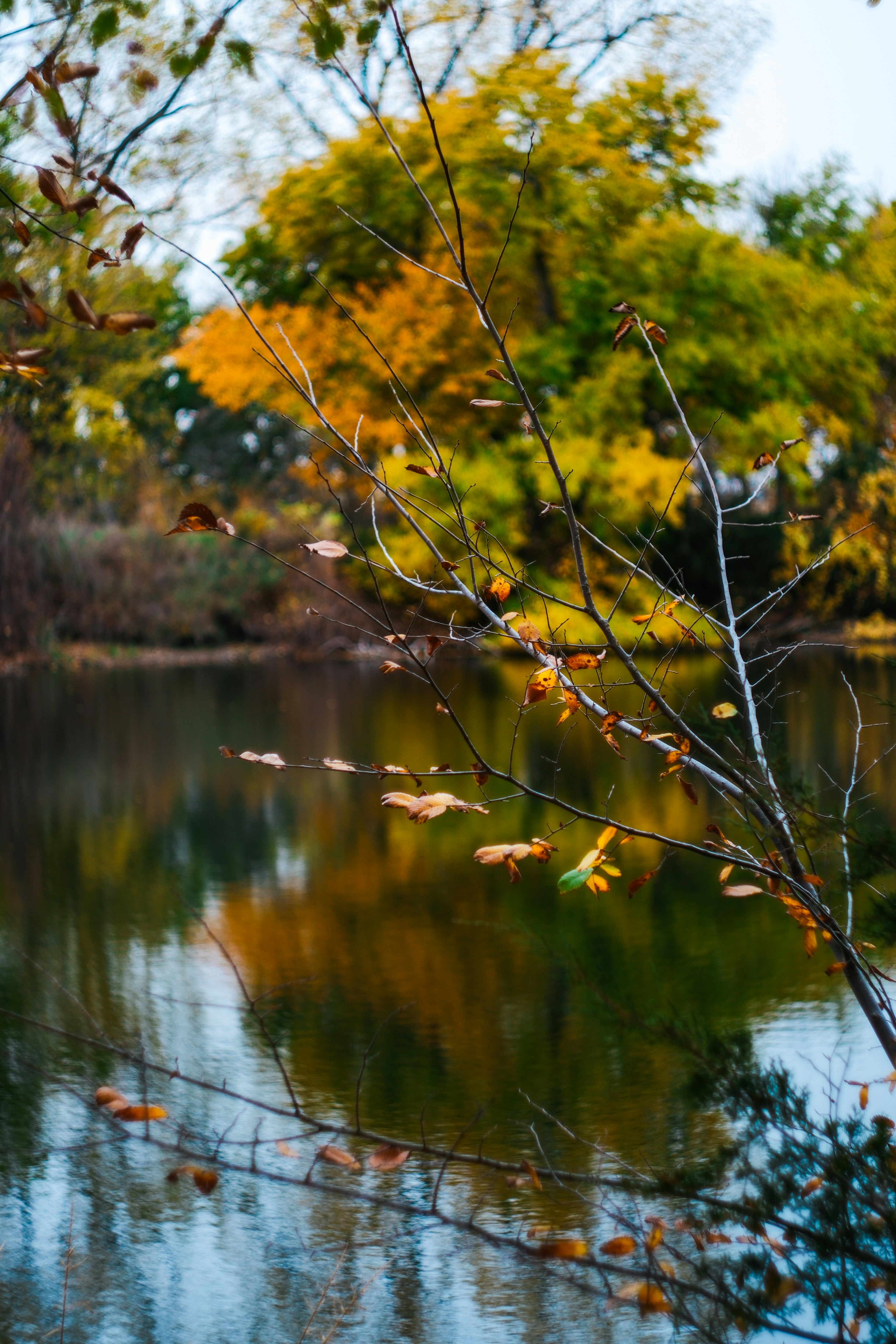 Photo by consoledotlog