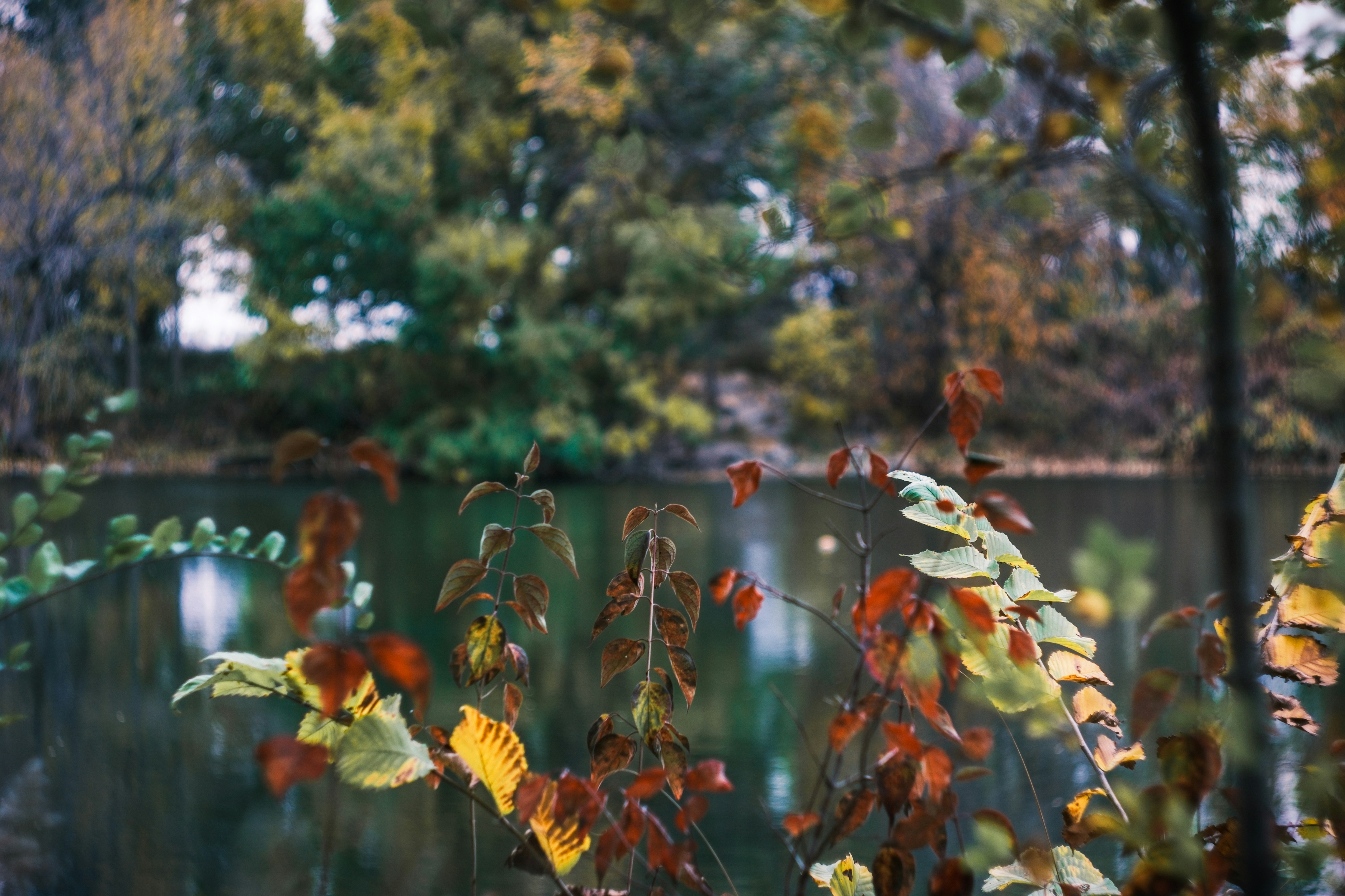 Photo by consoledotlog