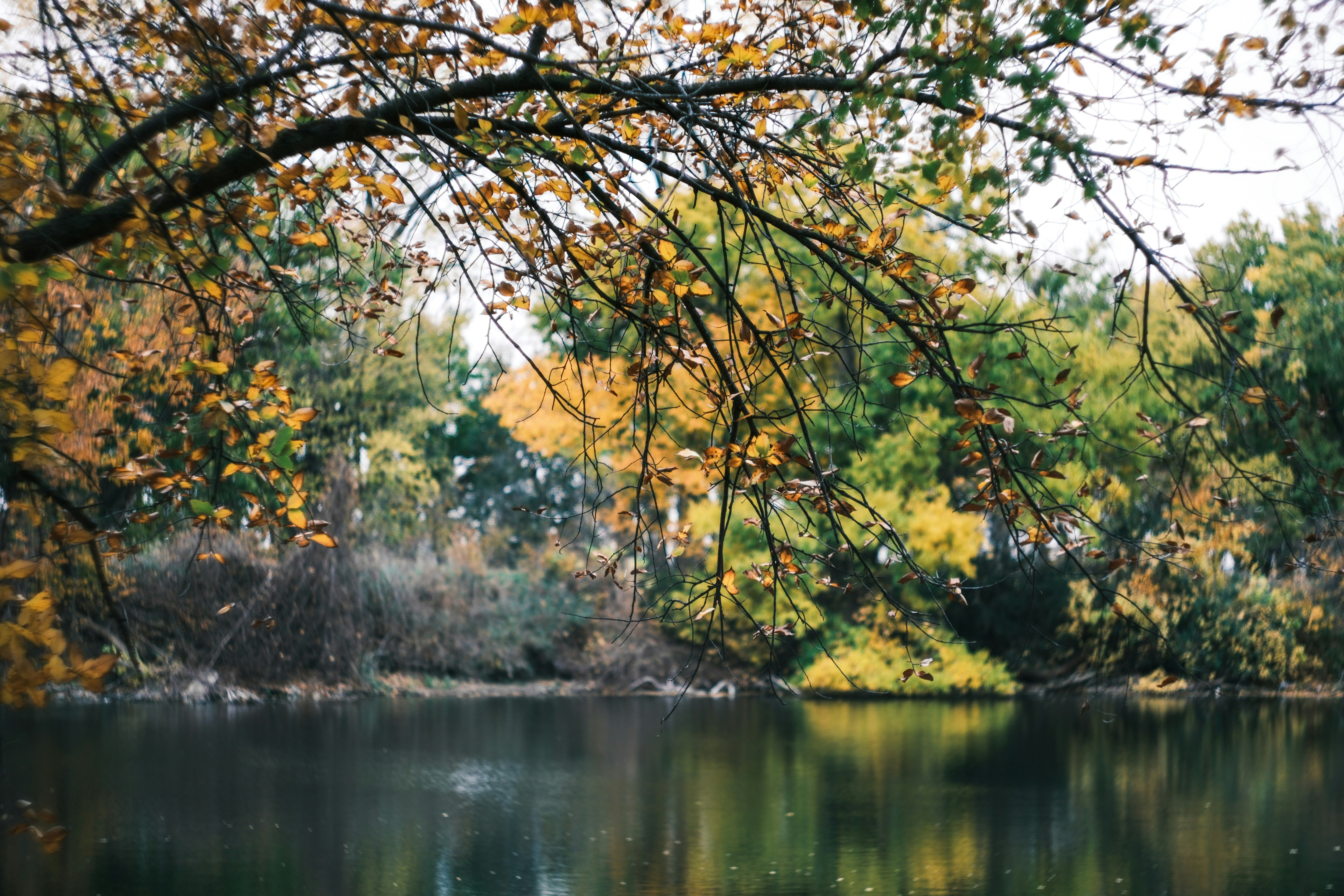 Photo by consoledotlog